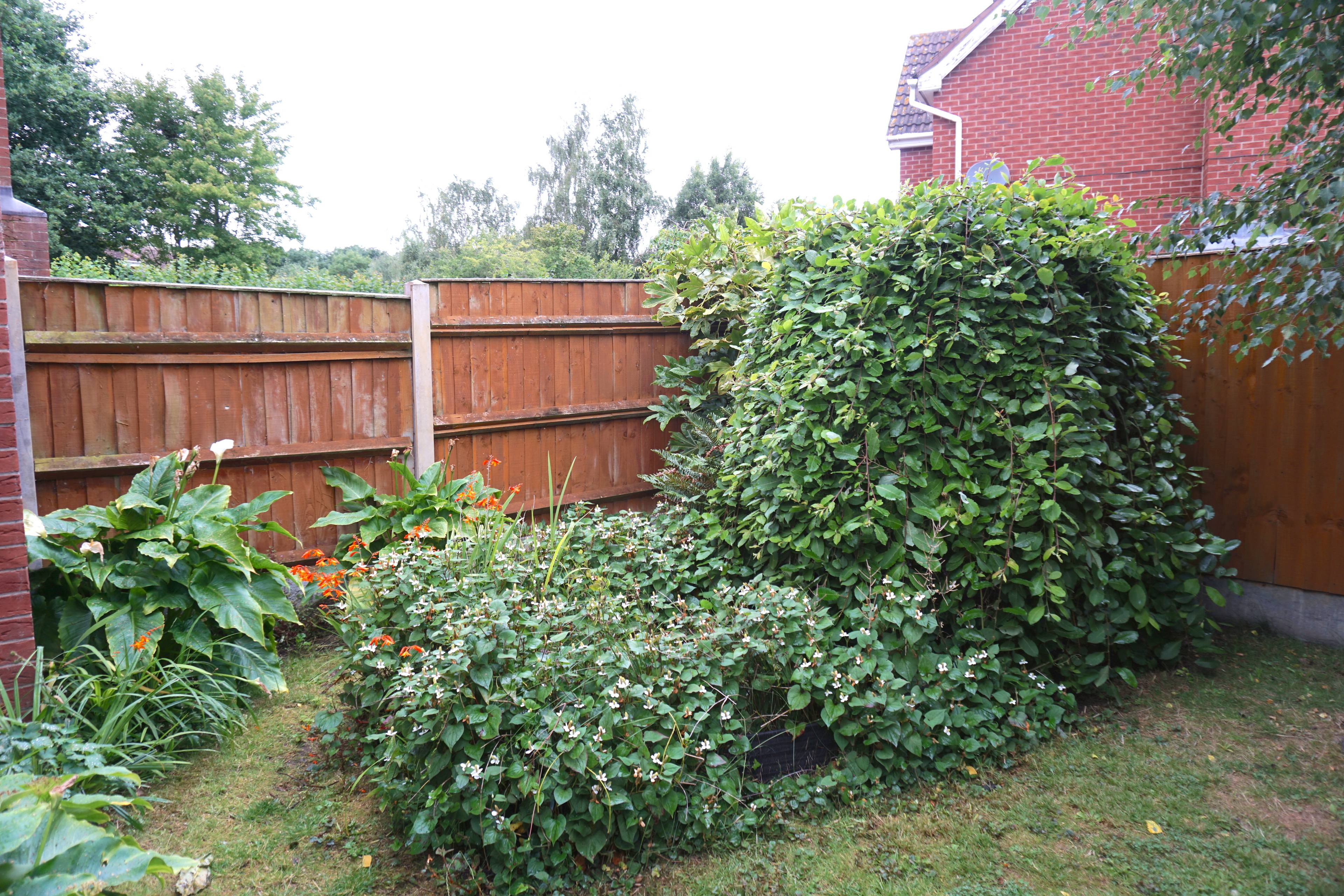 Side Garden