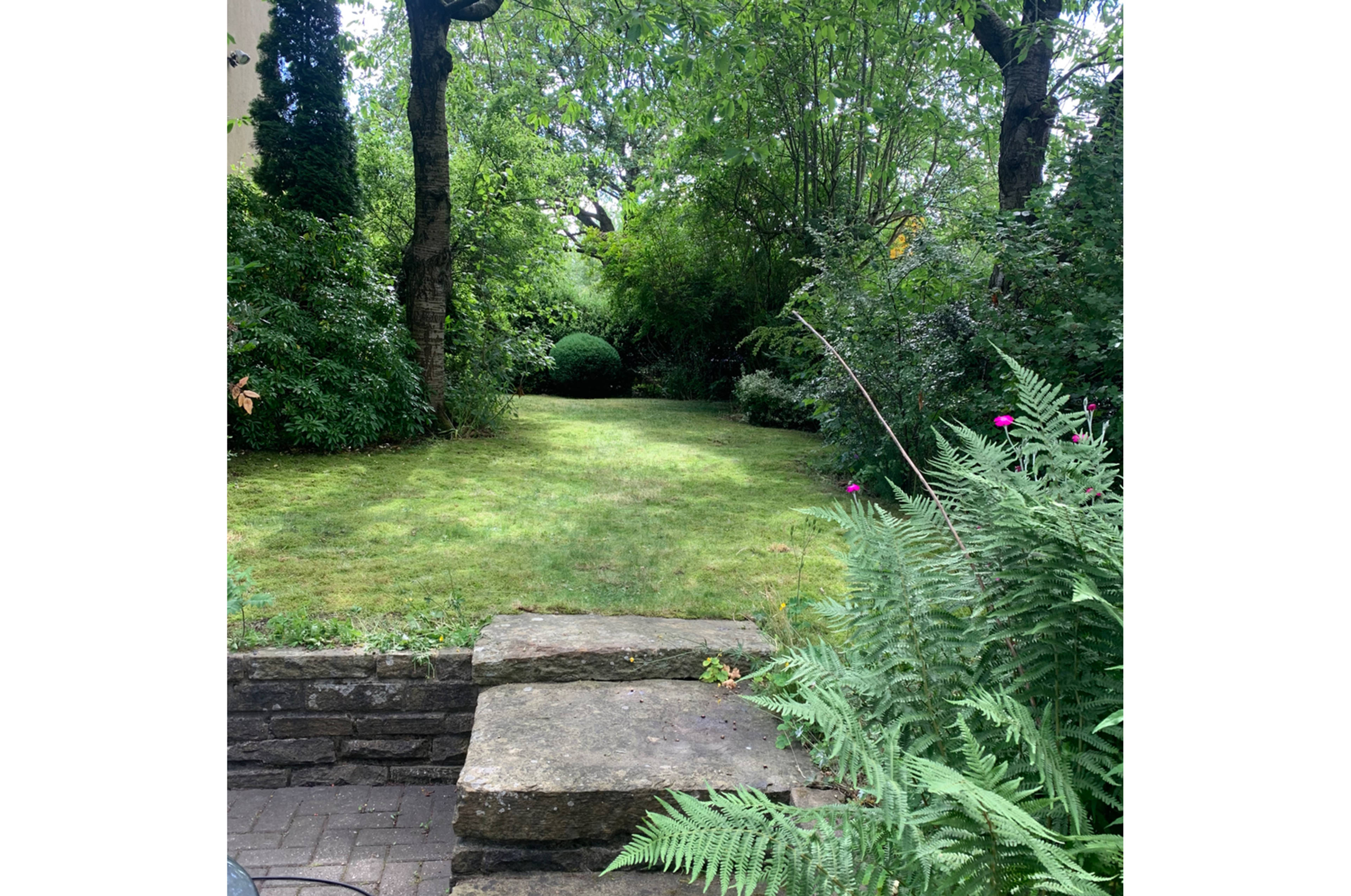 Side Garden