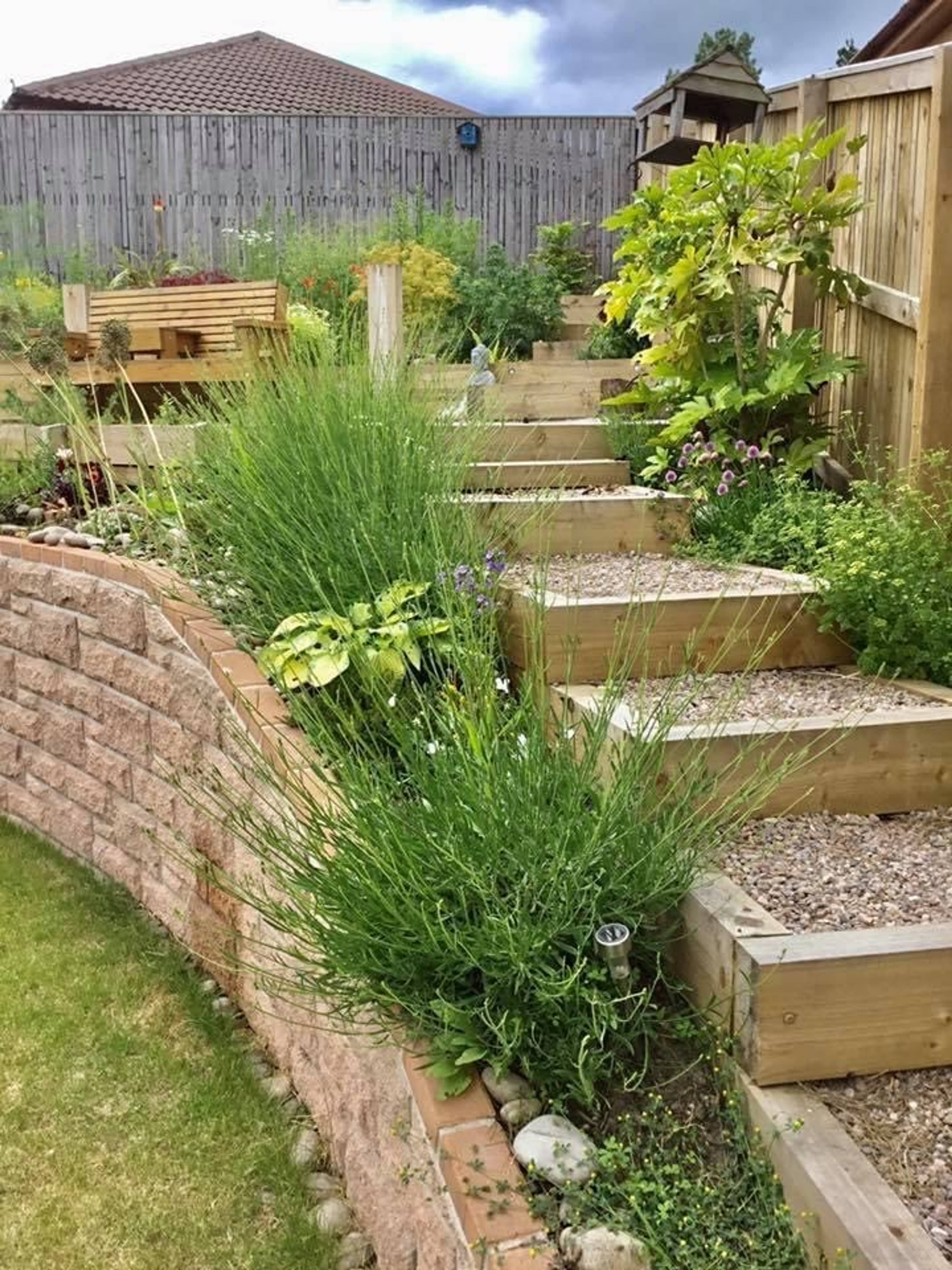 garden