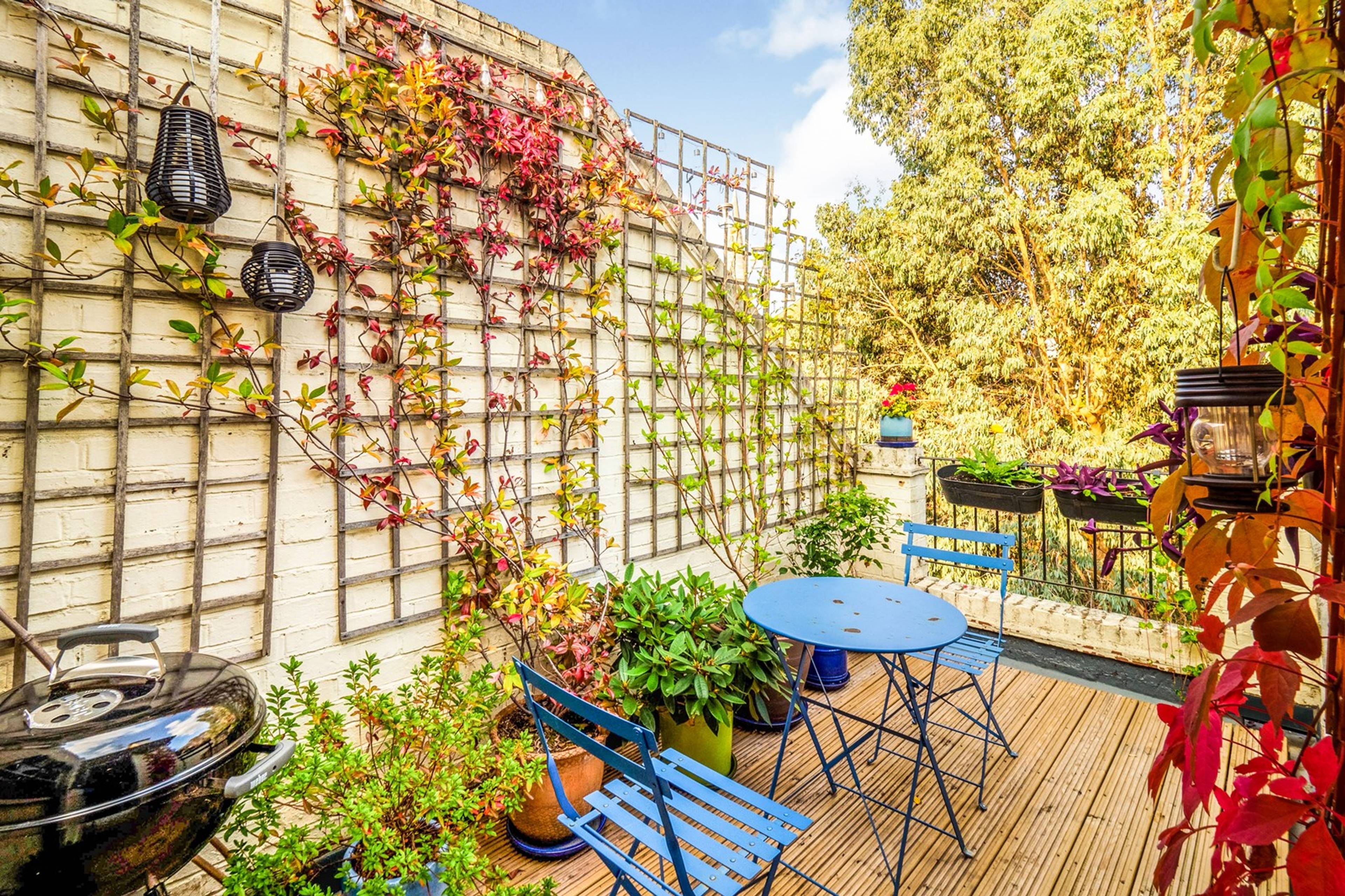 Roof Terrace