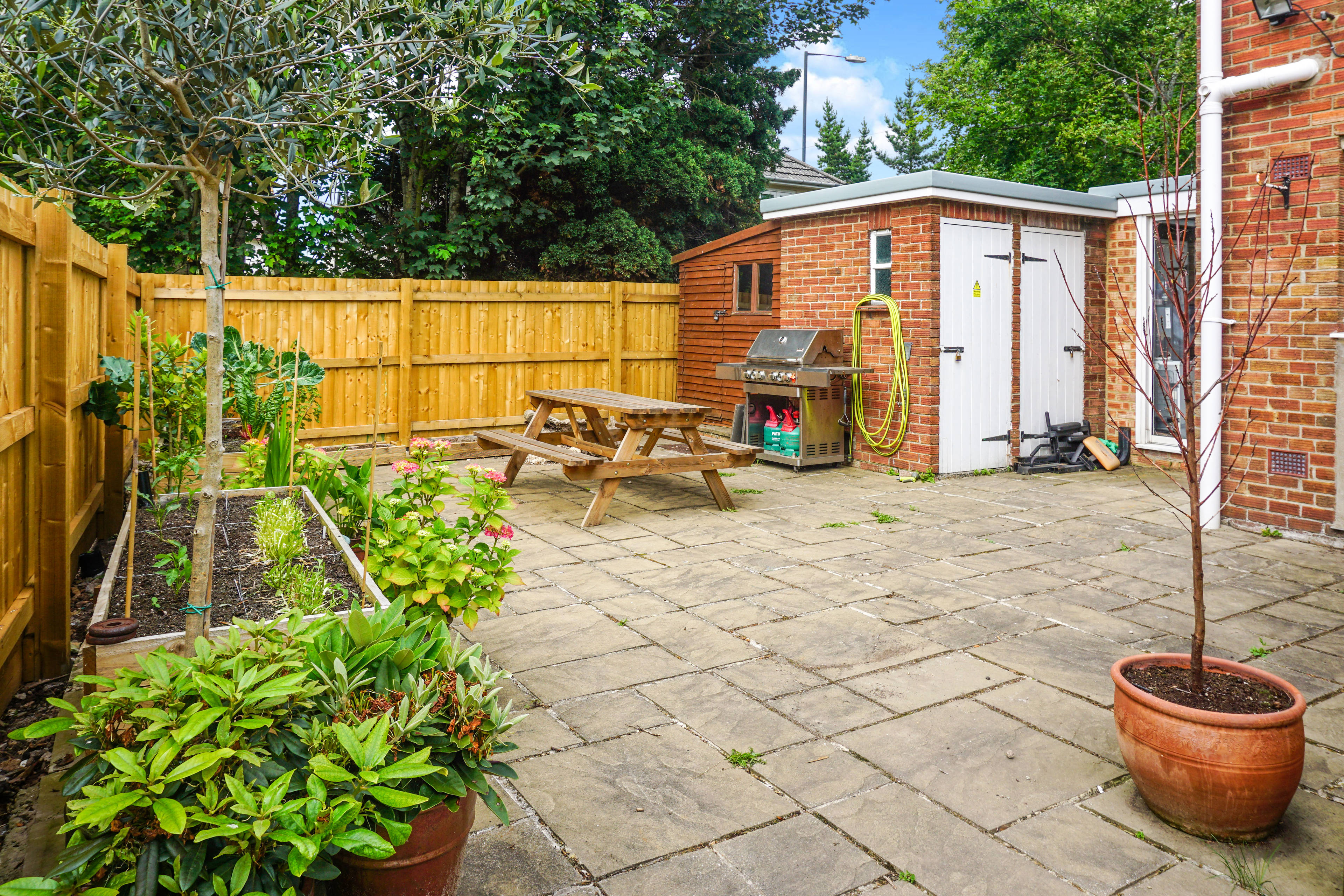 Garden