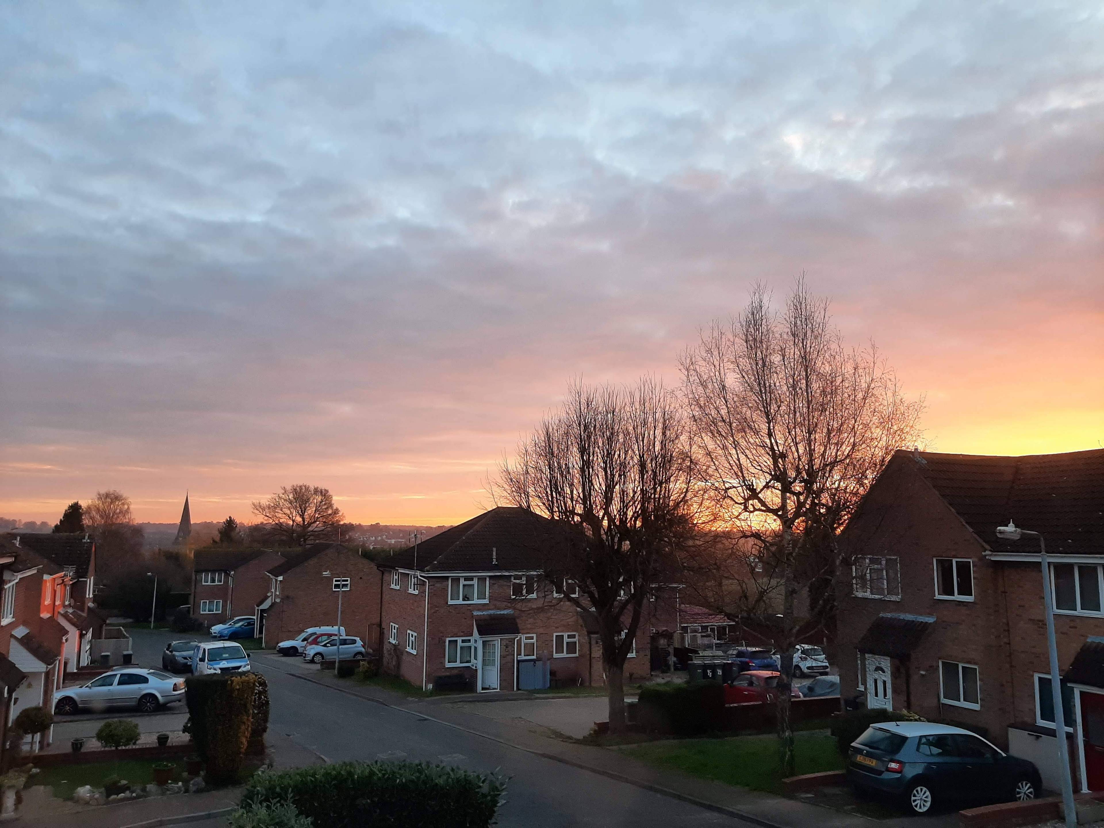 View