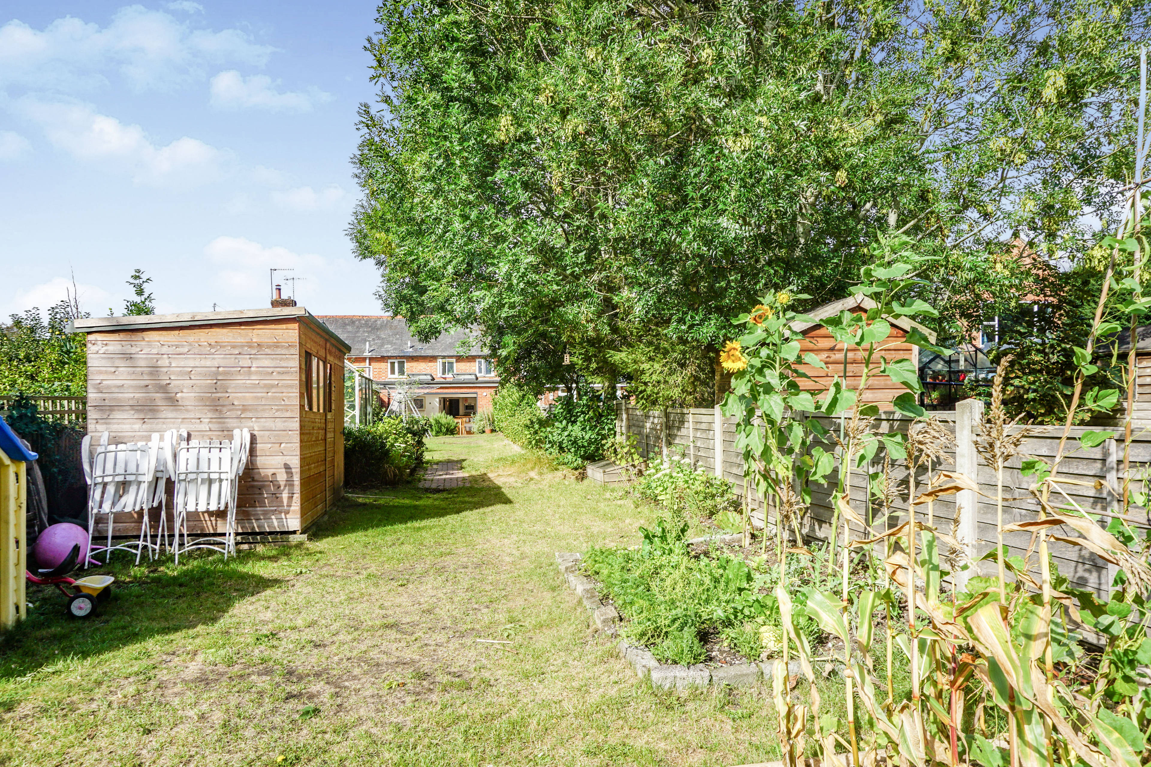 Garden