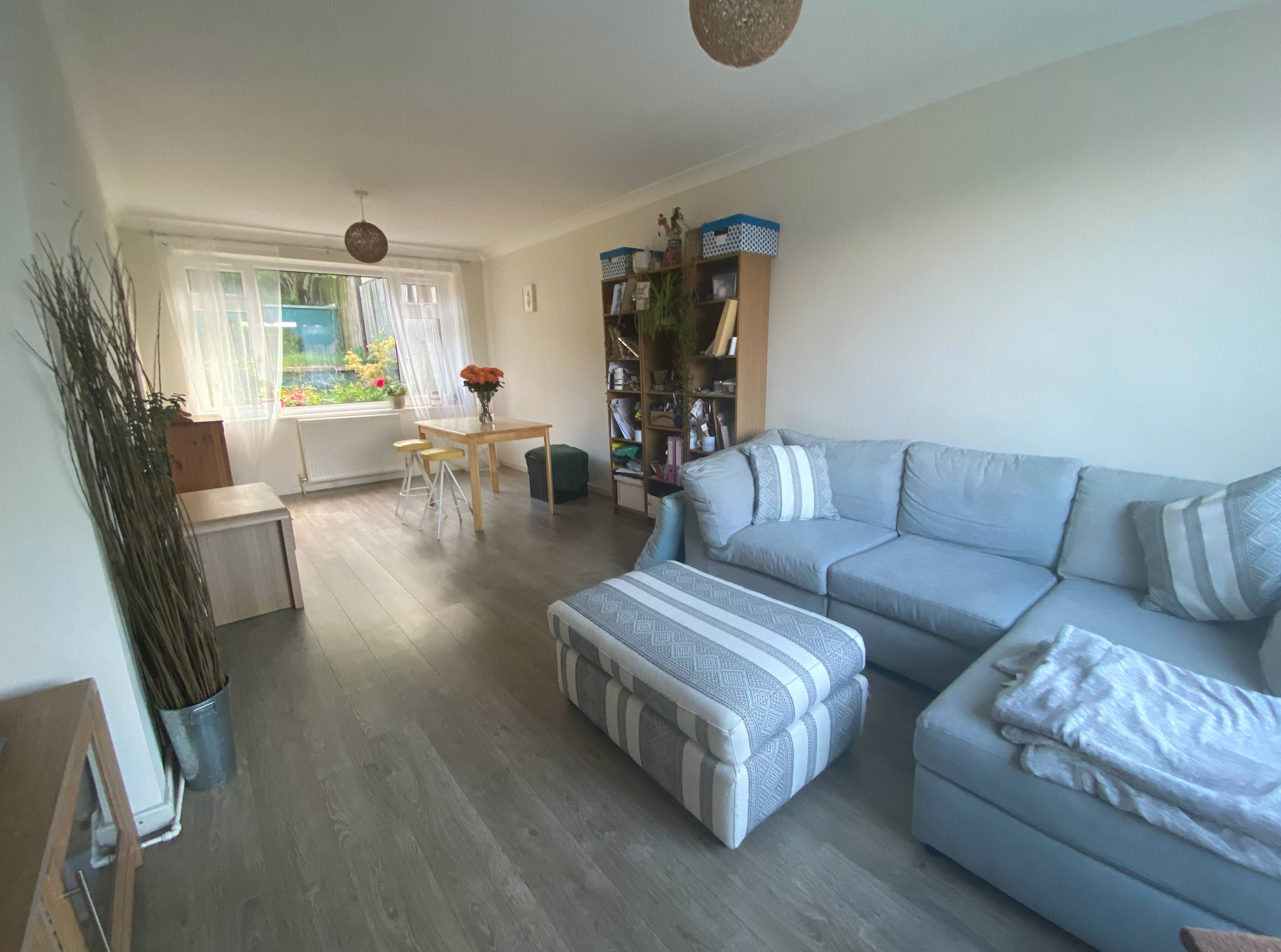 Living / Dining Room