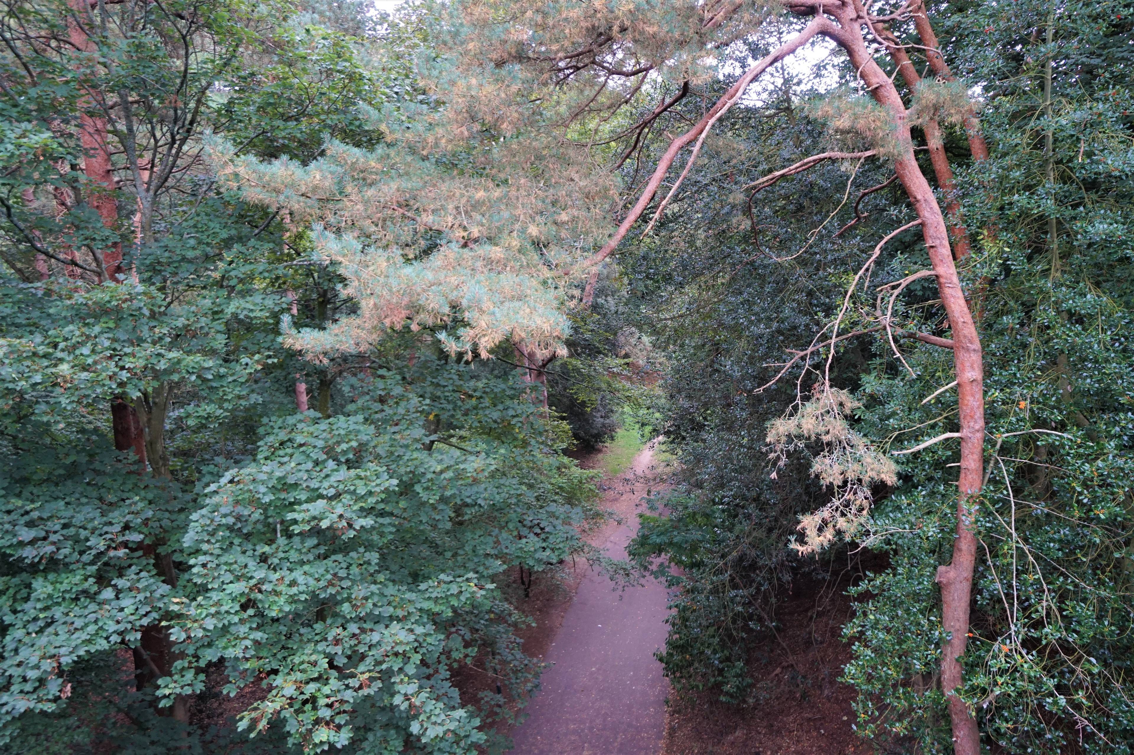 Local Area