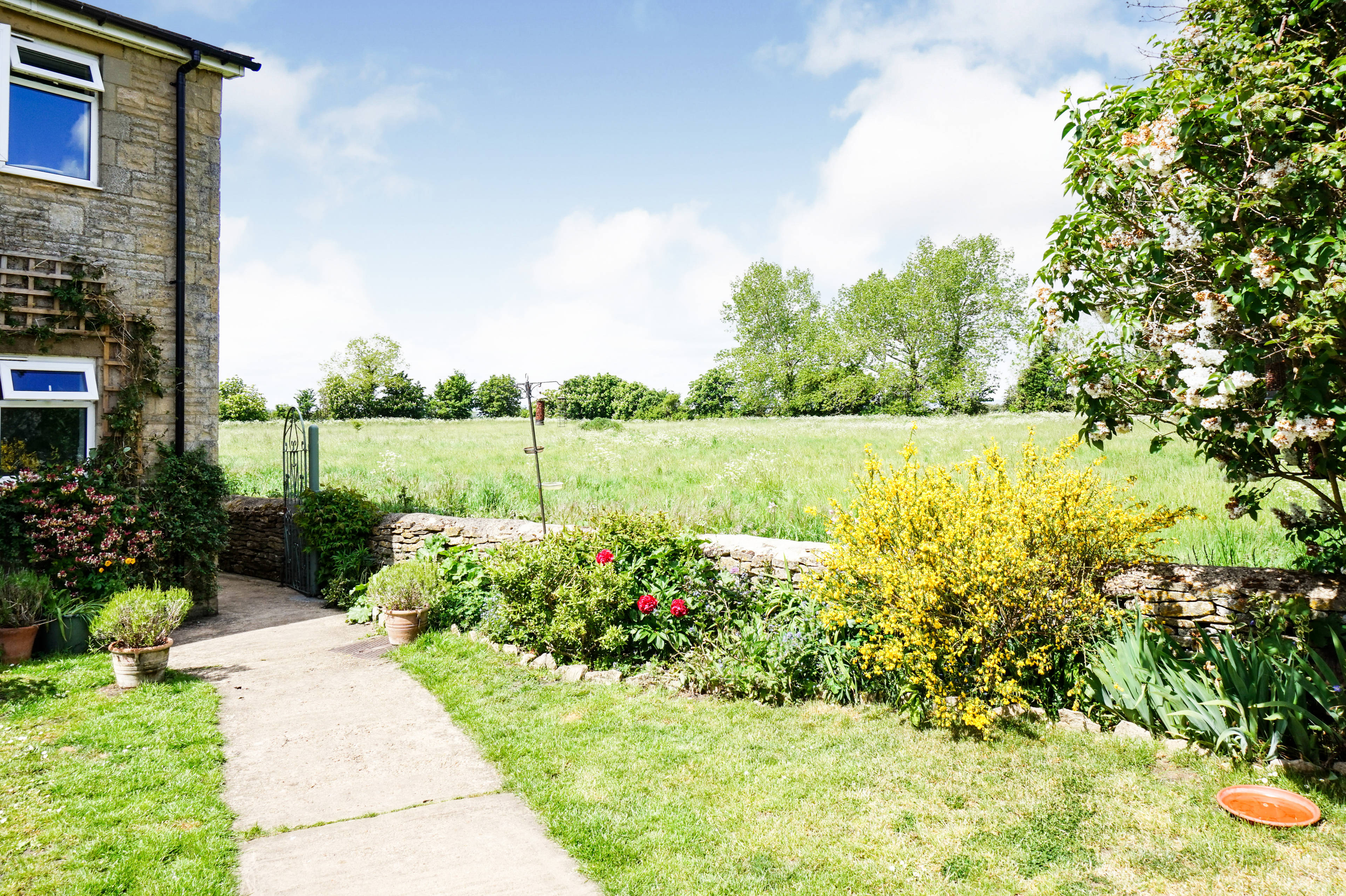 garden