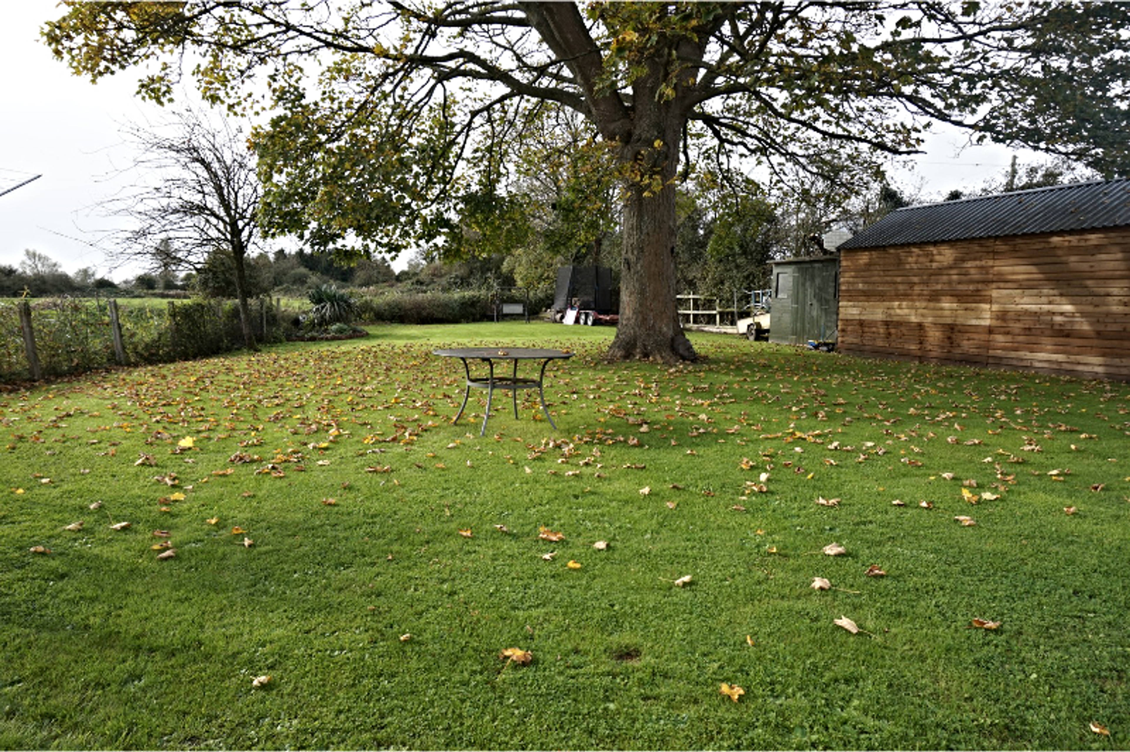 Garden