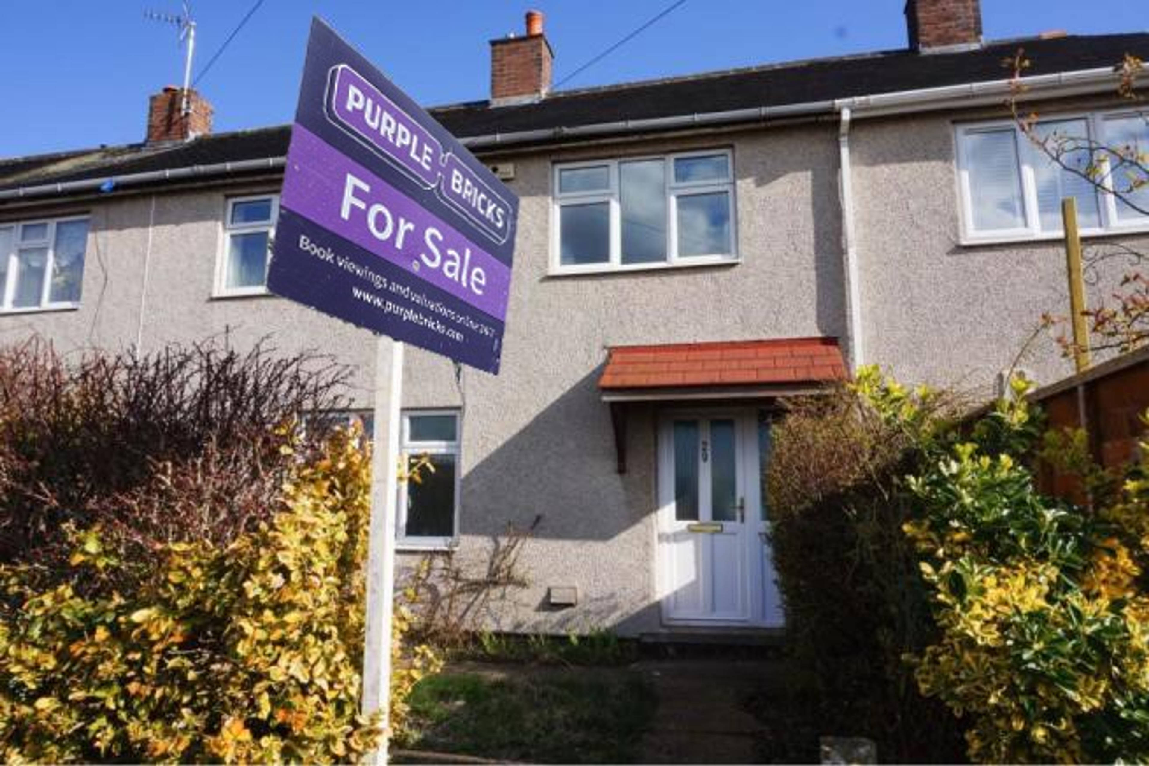 The Property