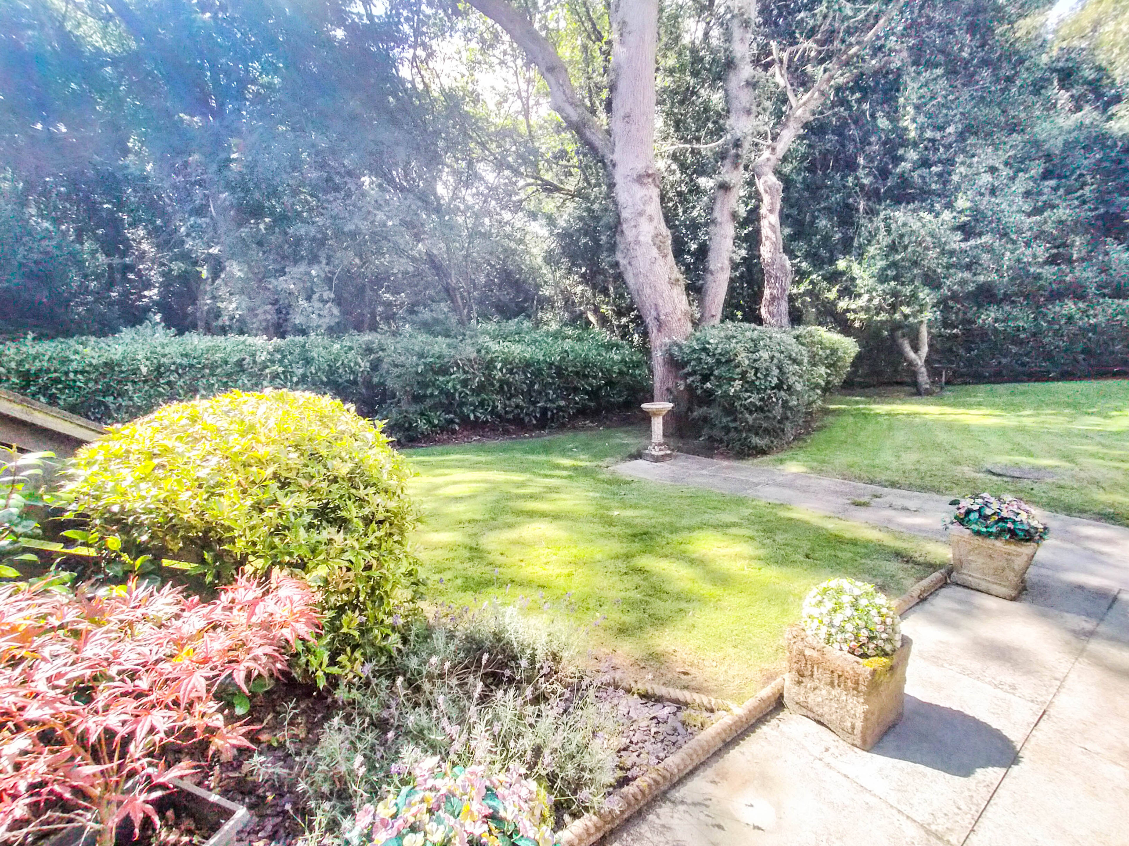 Communal Gardens