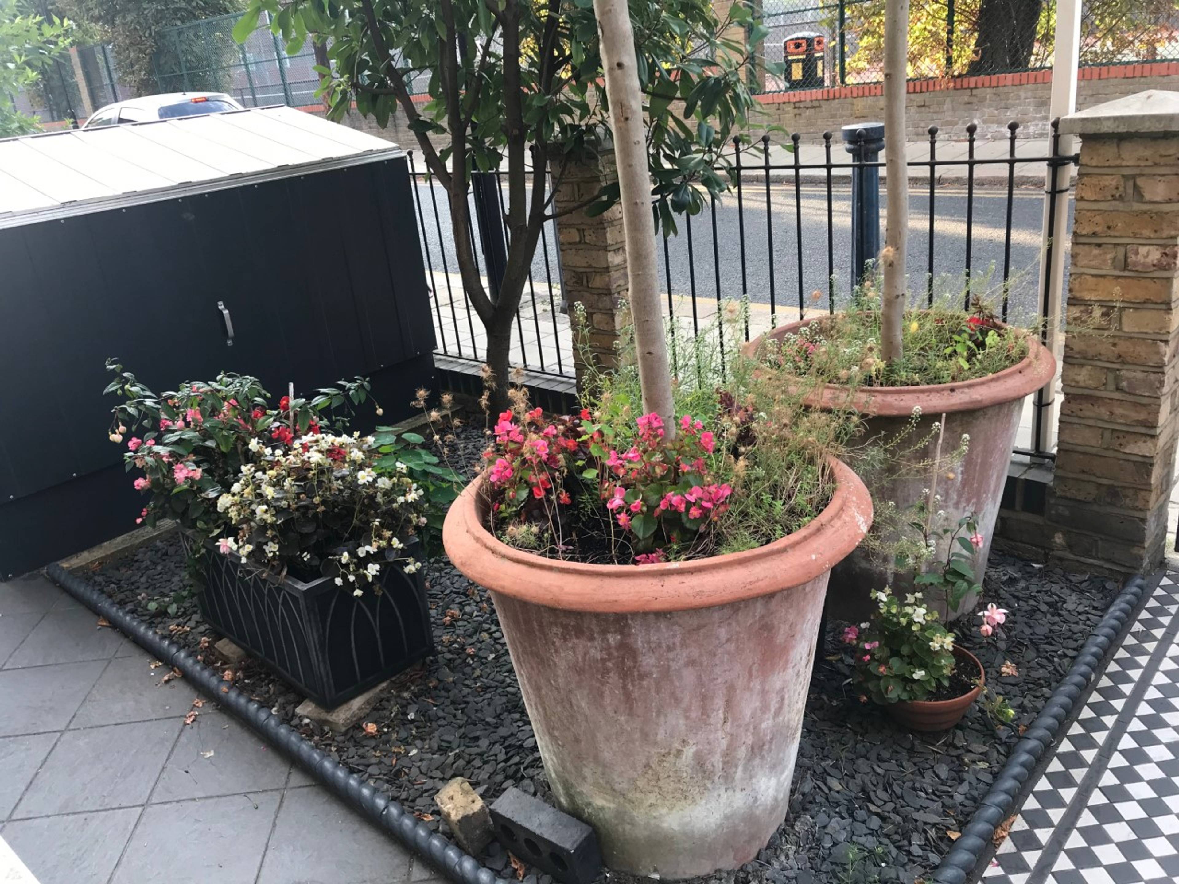 Front Garden