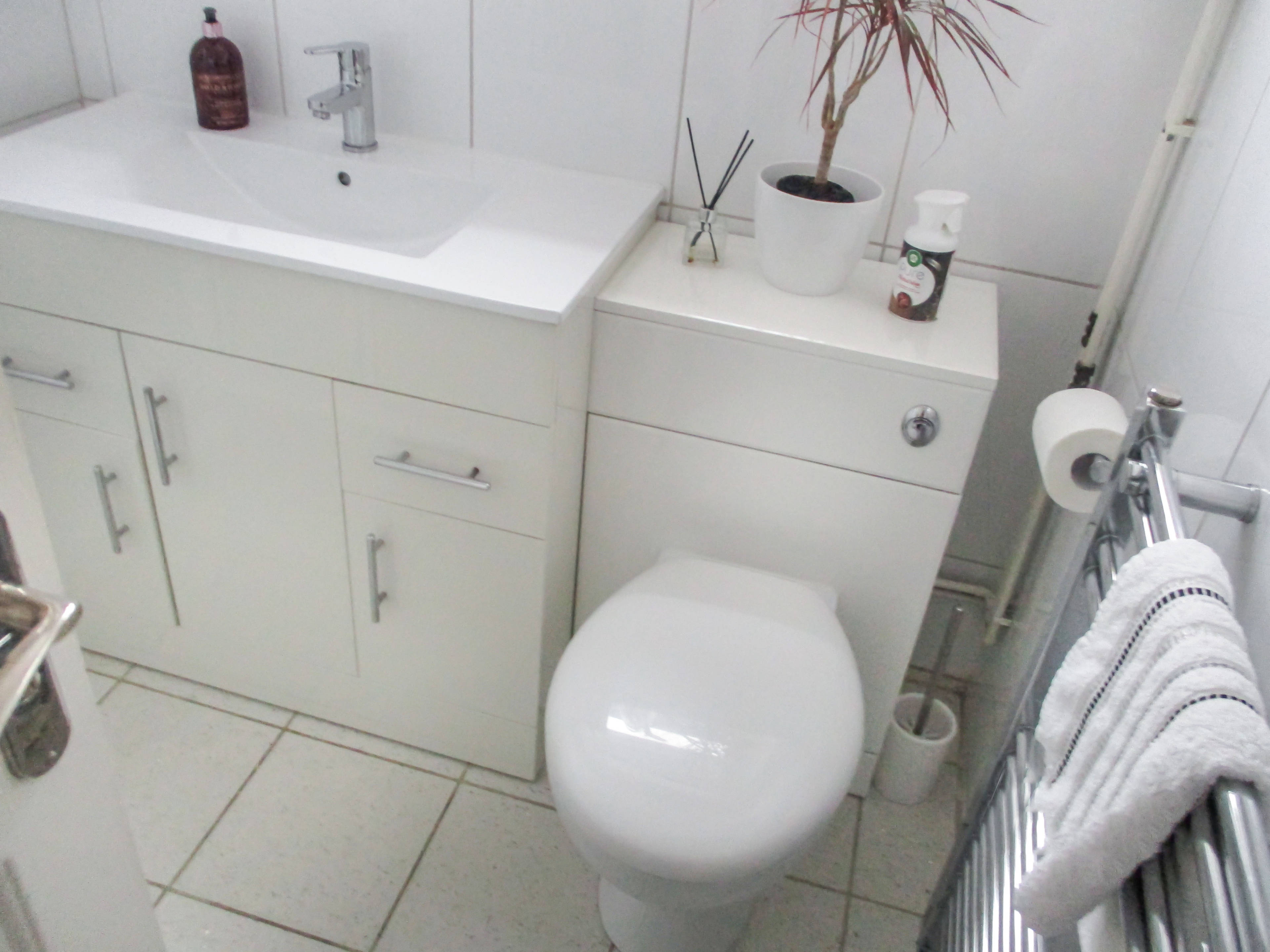 Downstairs Shower