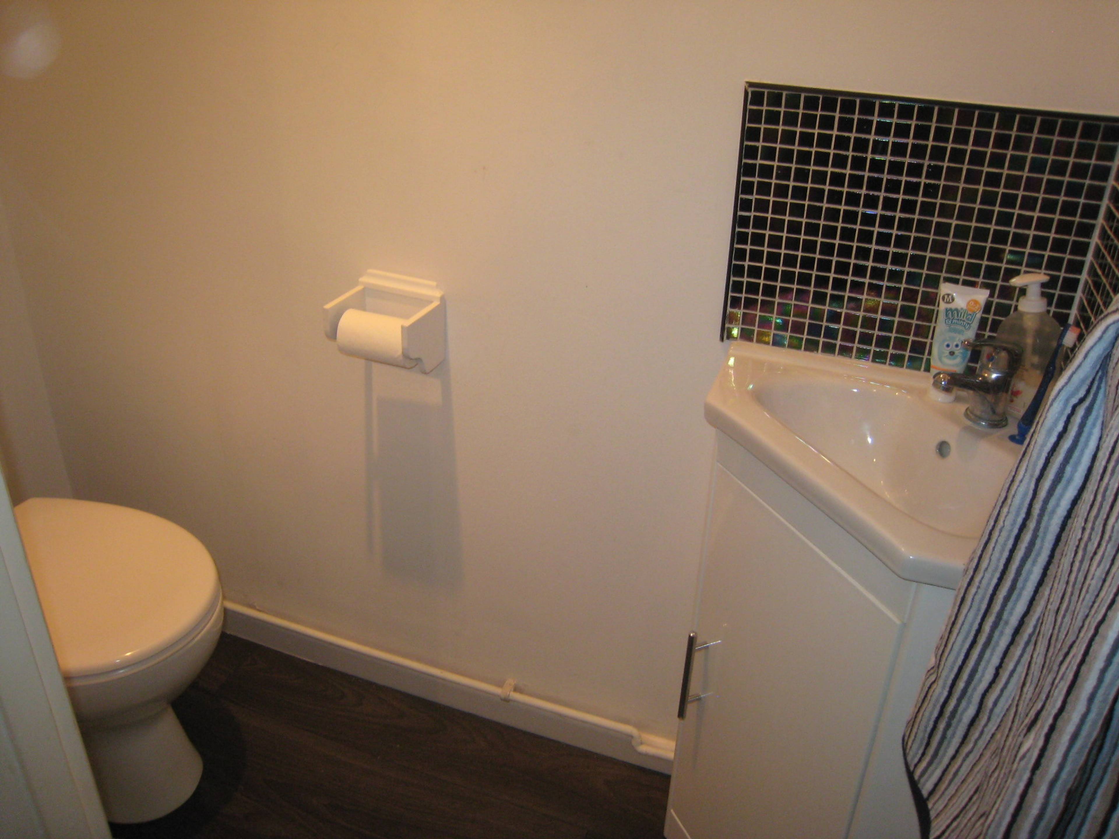 Downstairs Cloakroom