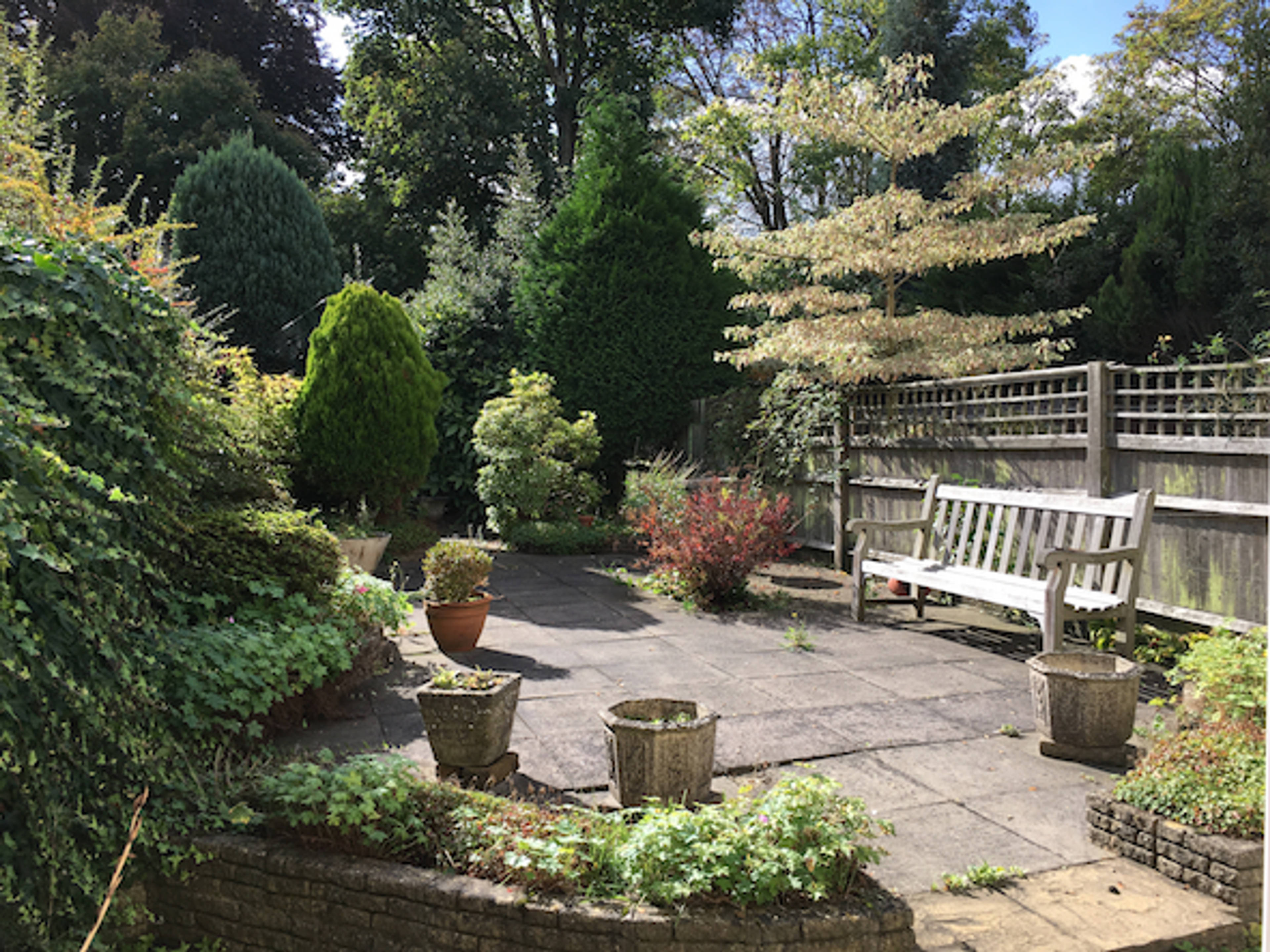garden