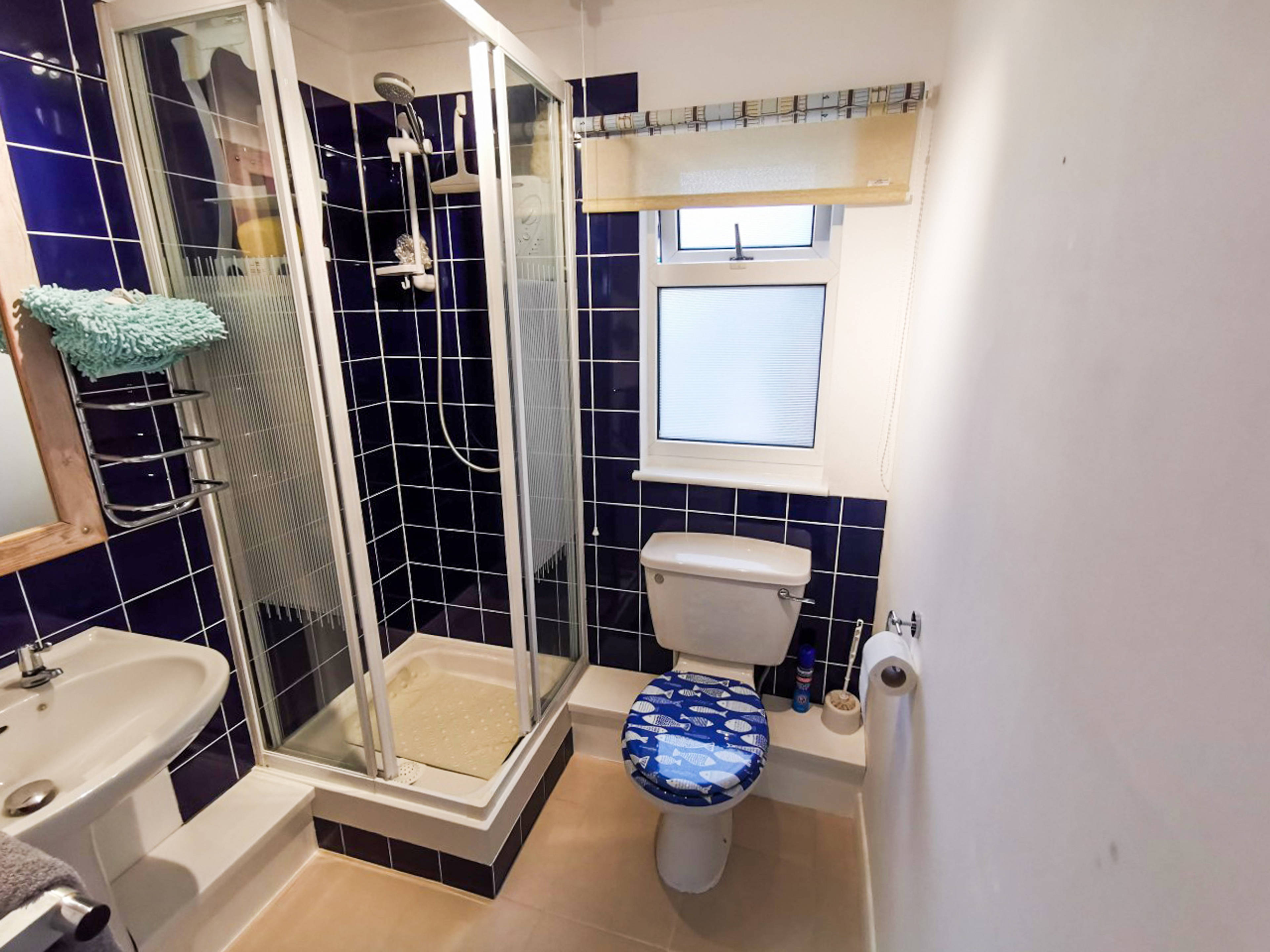 Annexe Shower Room