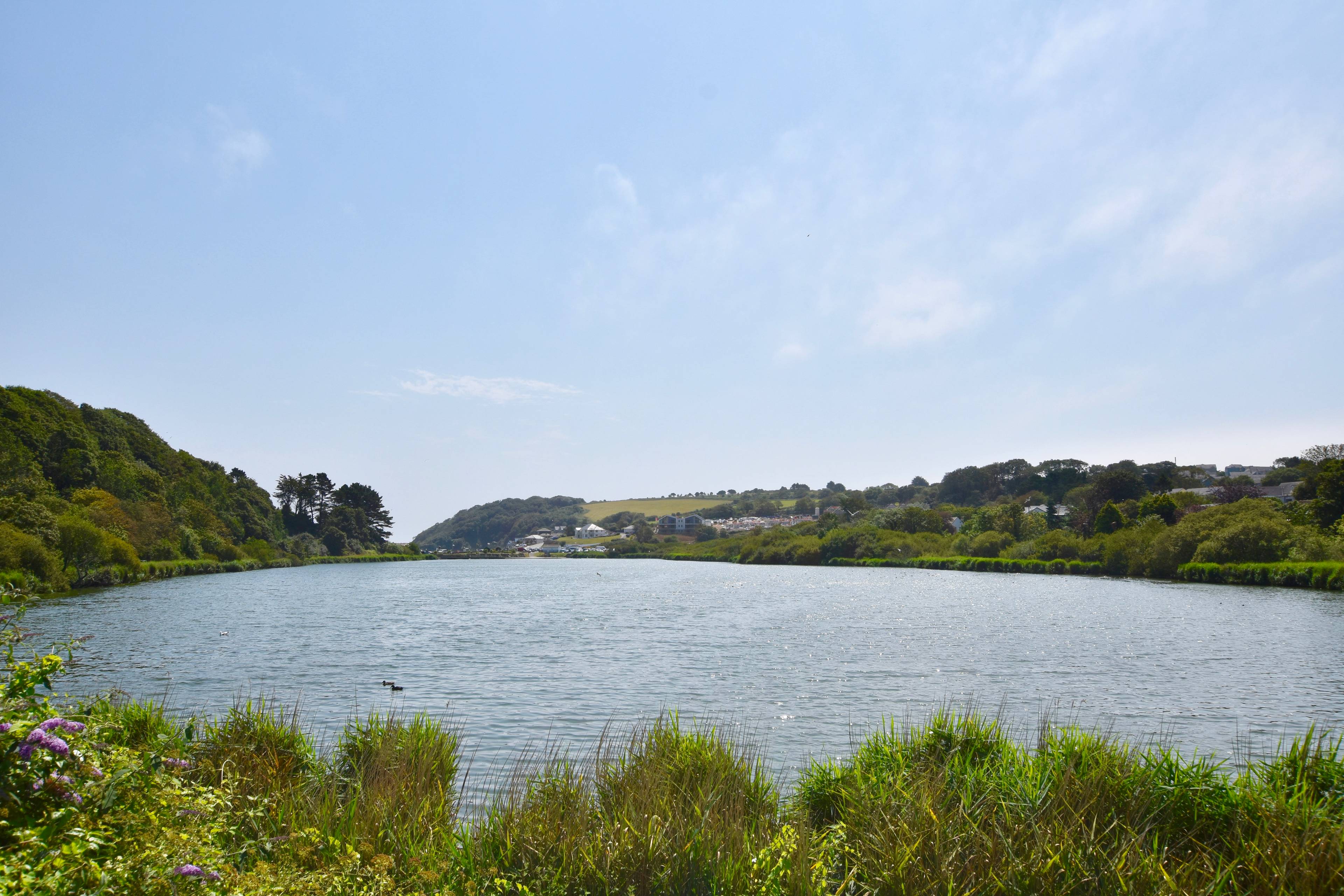 Local Area