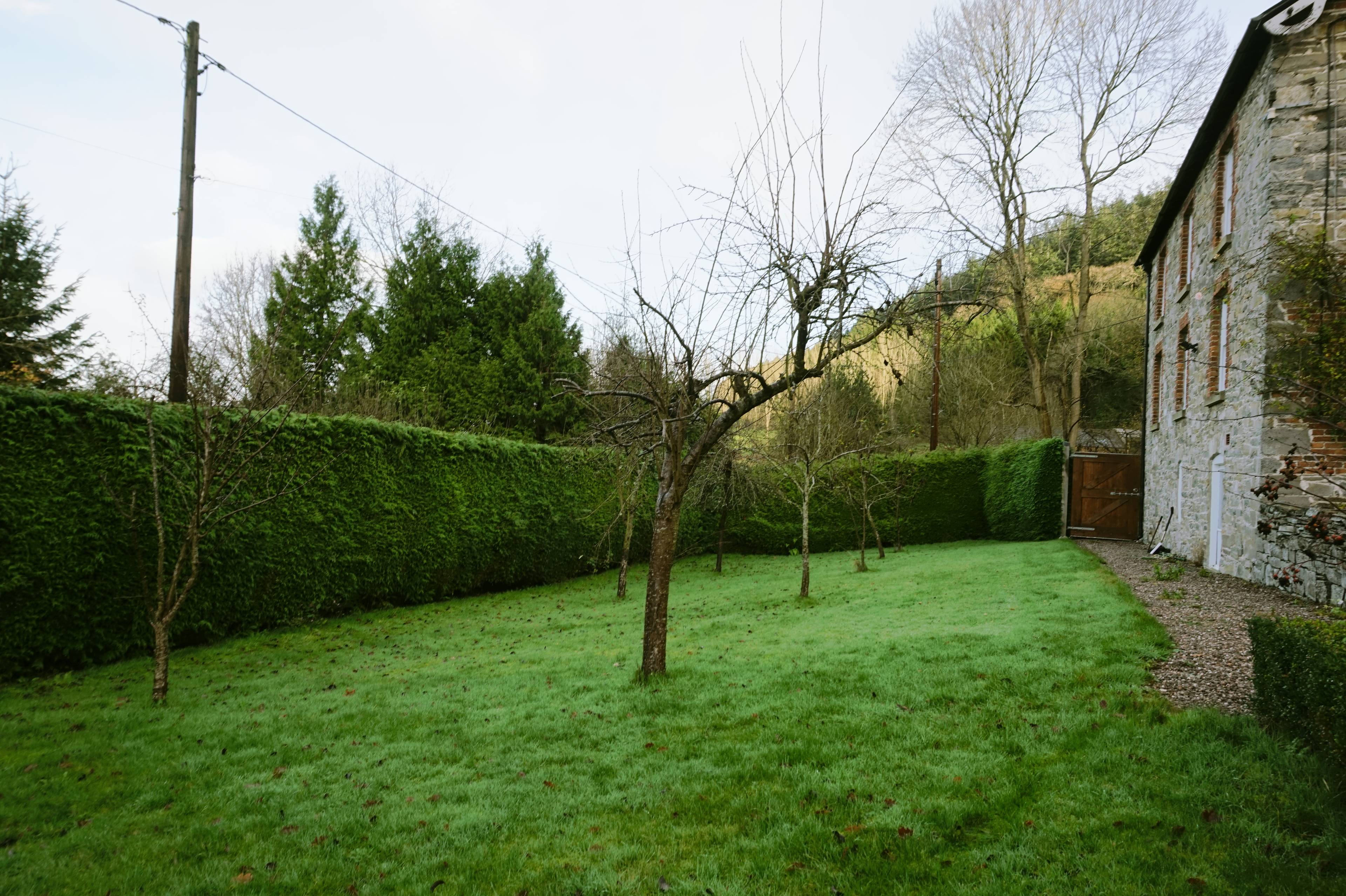 Orchard