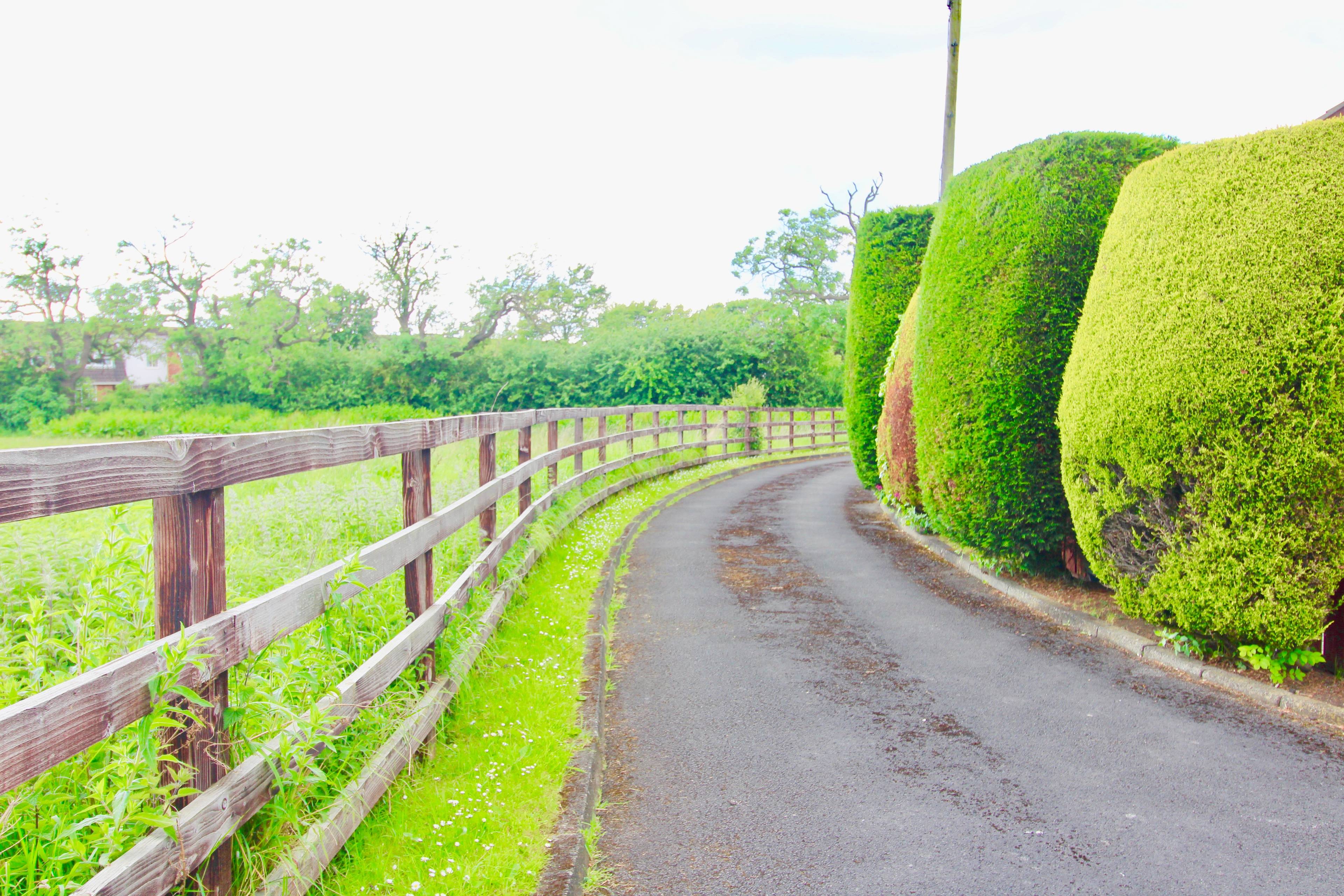 Driveway