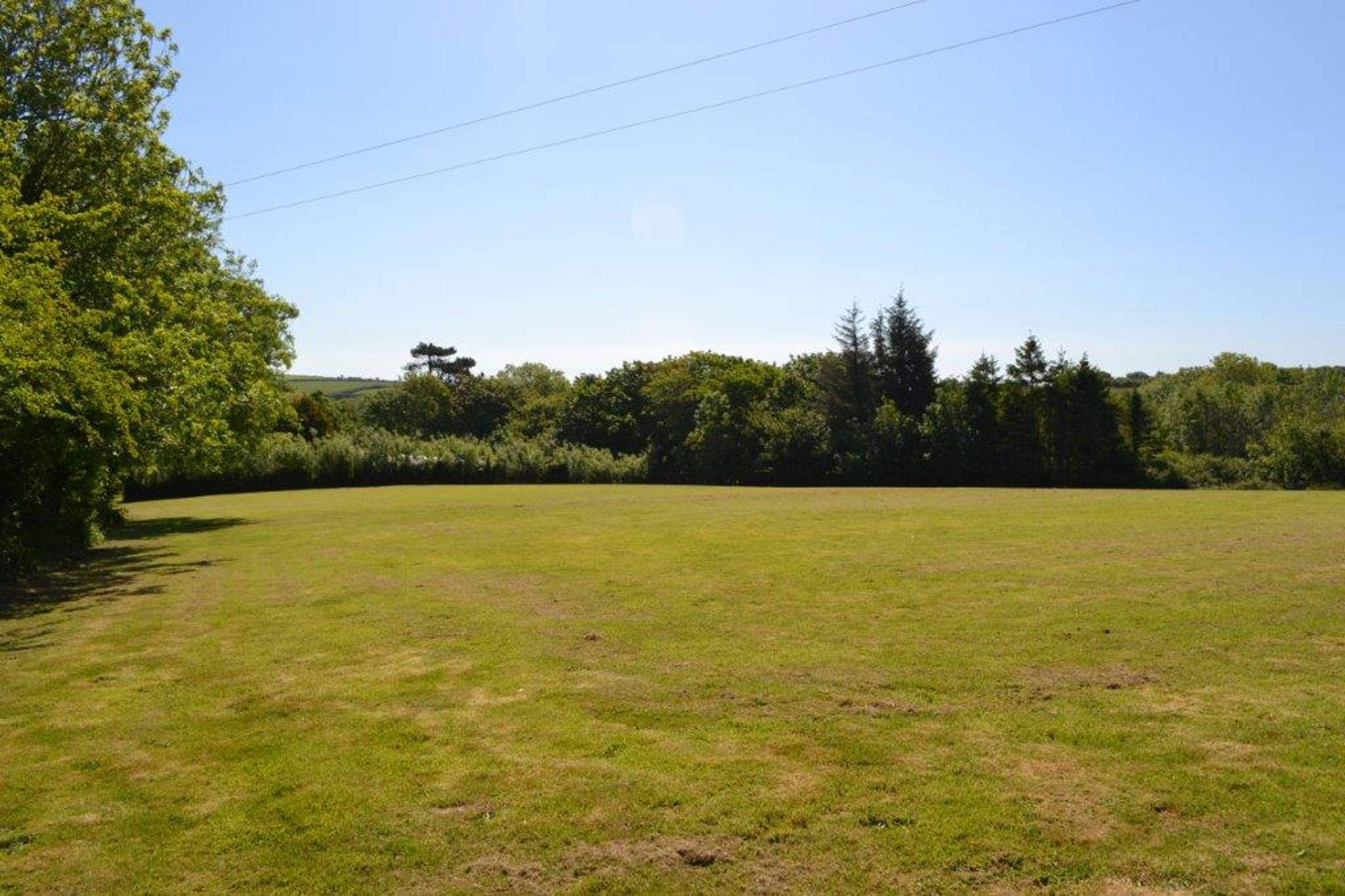 Field