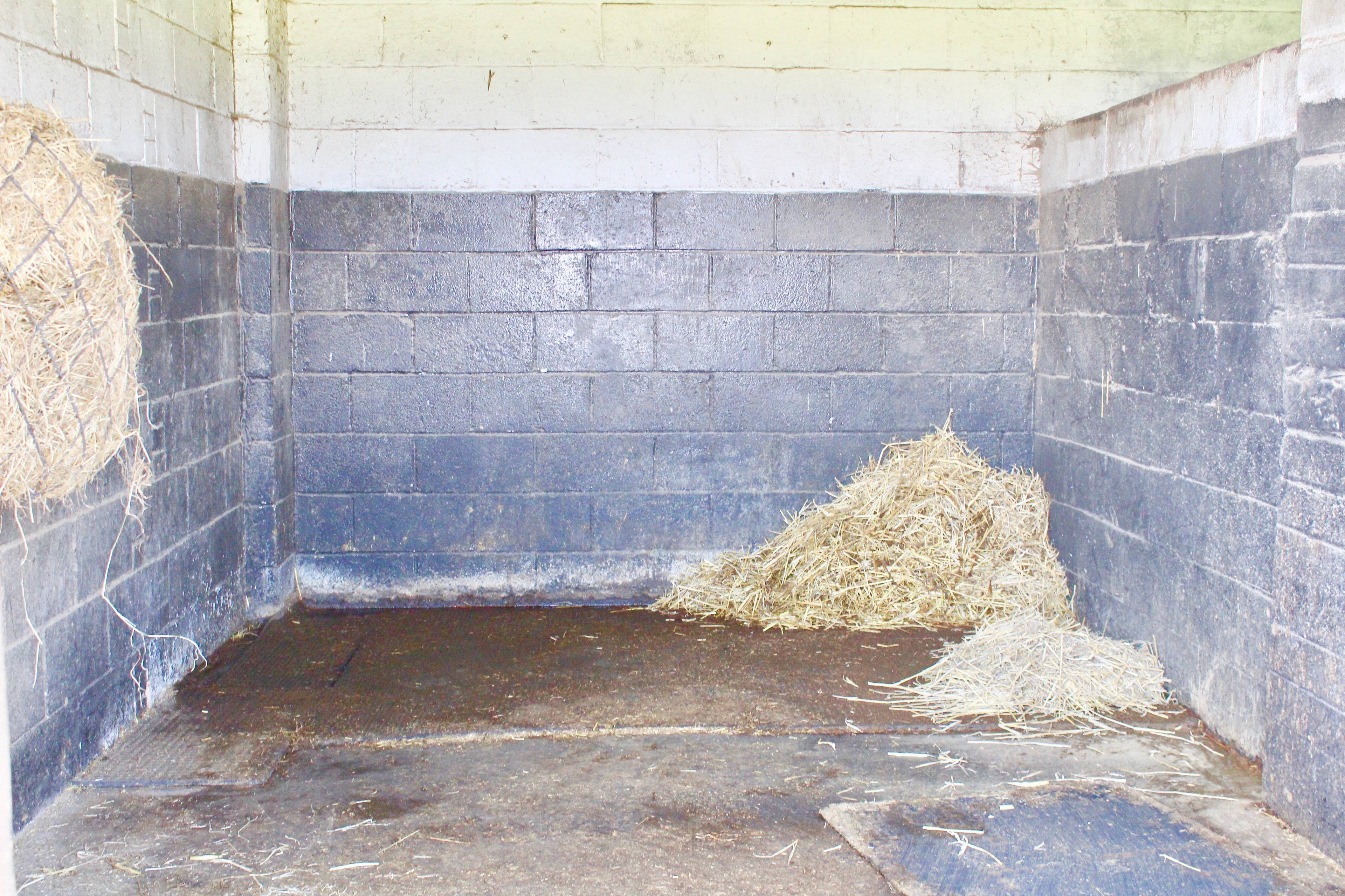 Stable