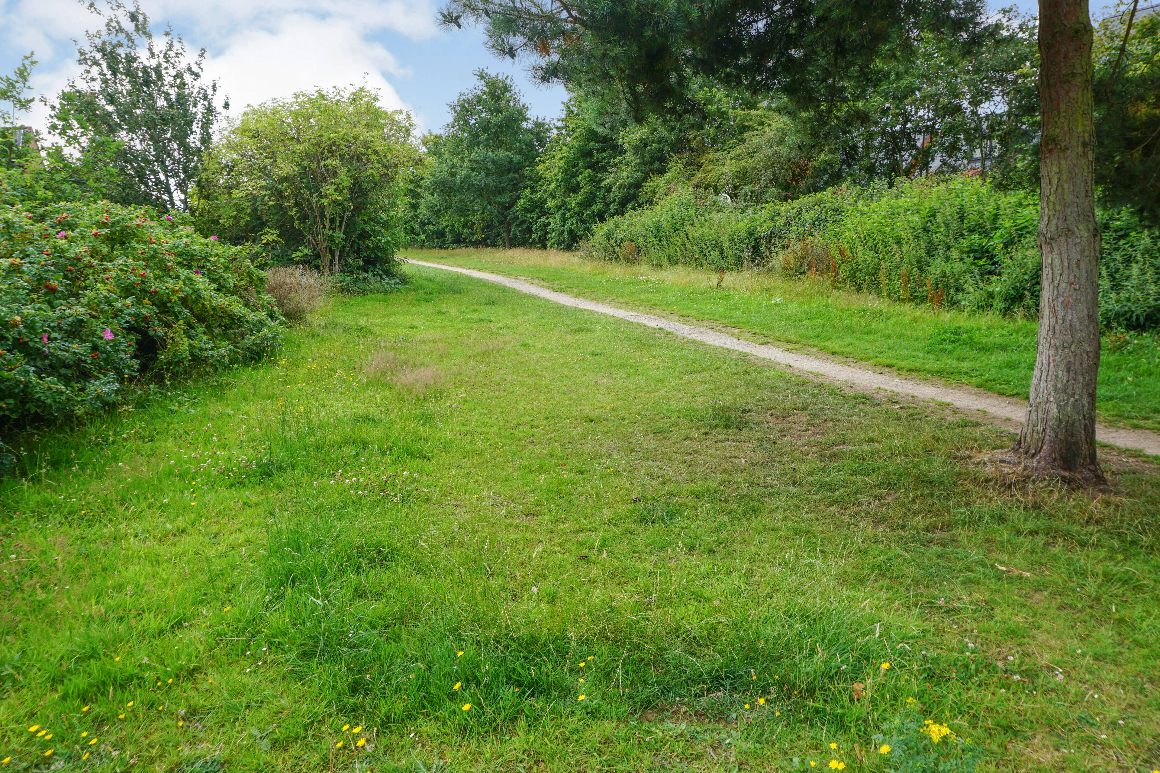 Nature Reserve