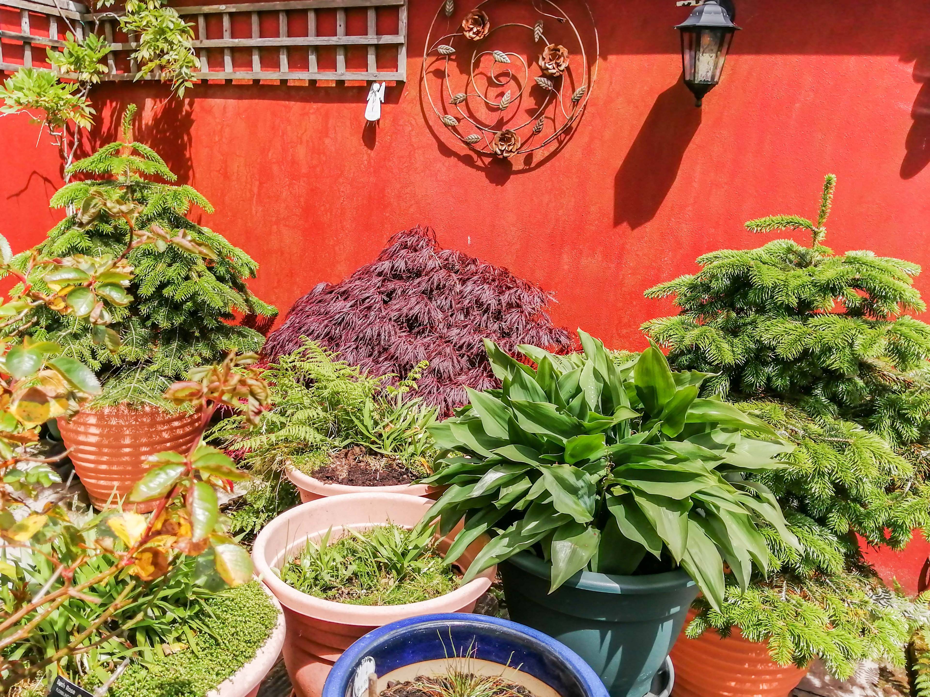 Side Garden