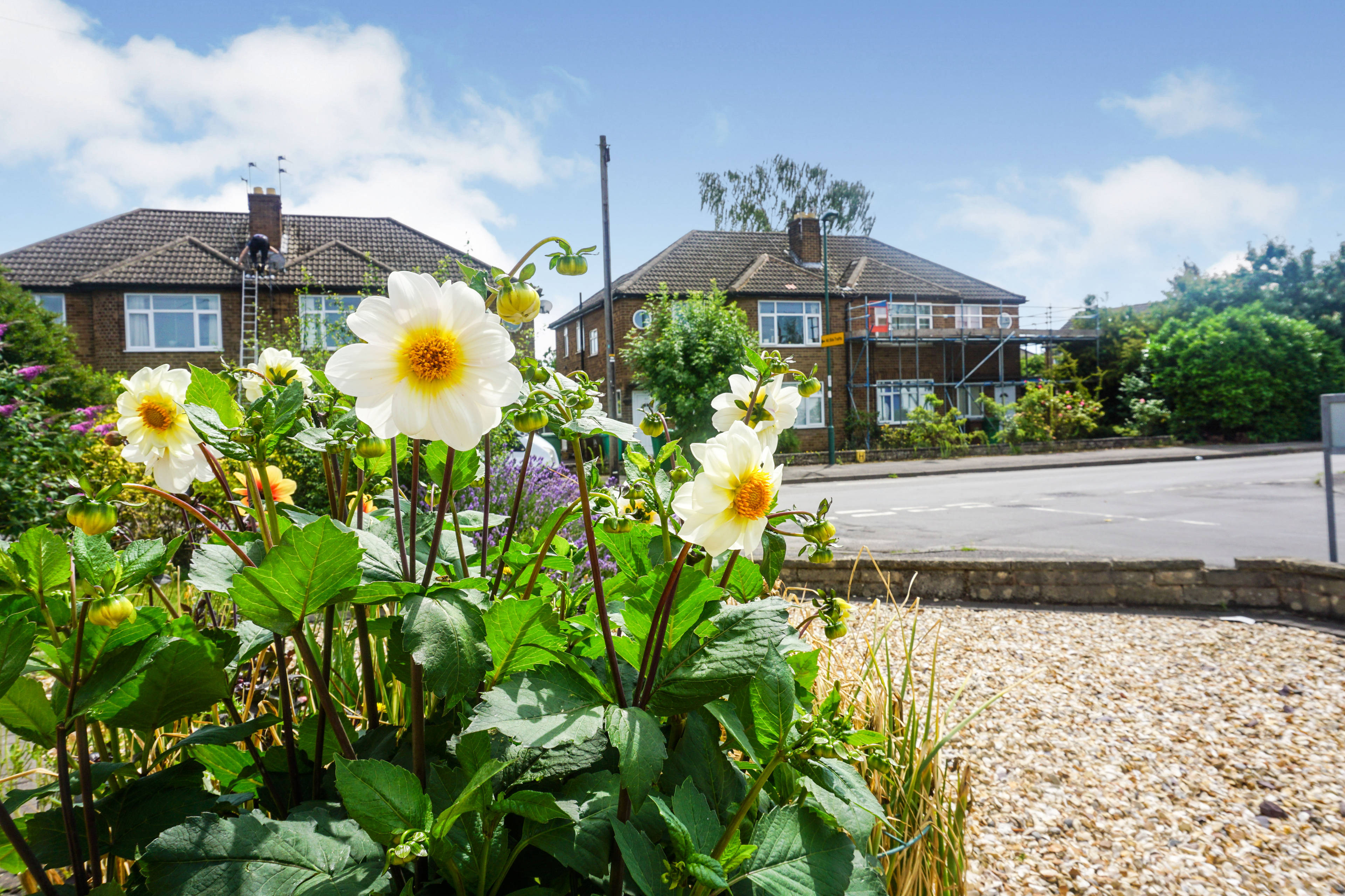 Front Garden