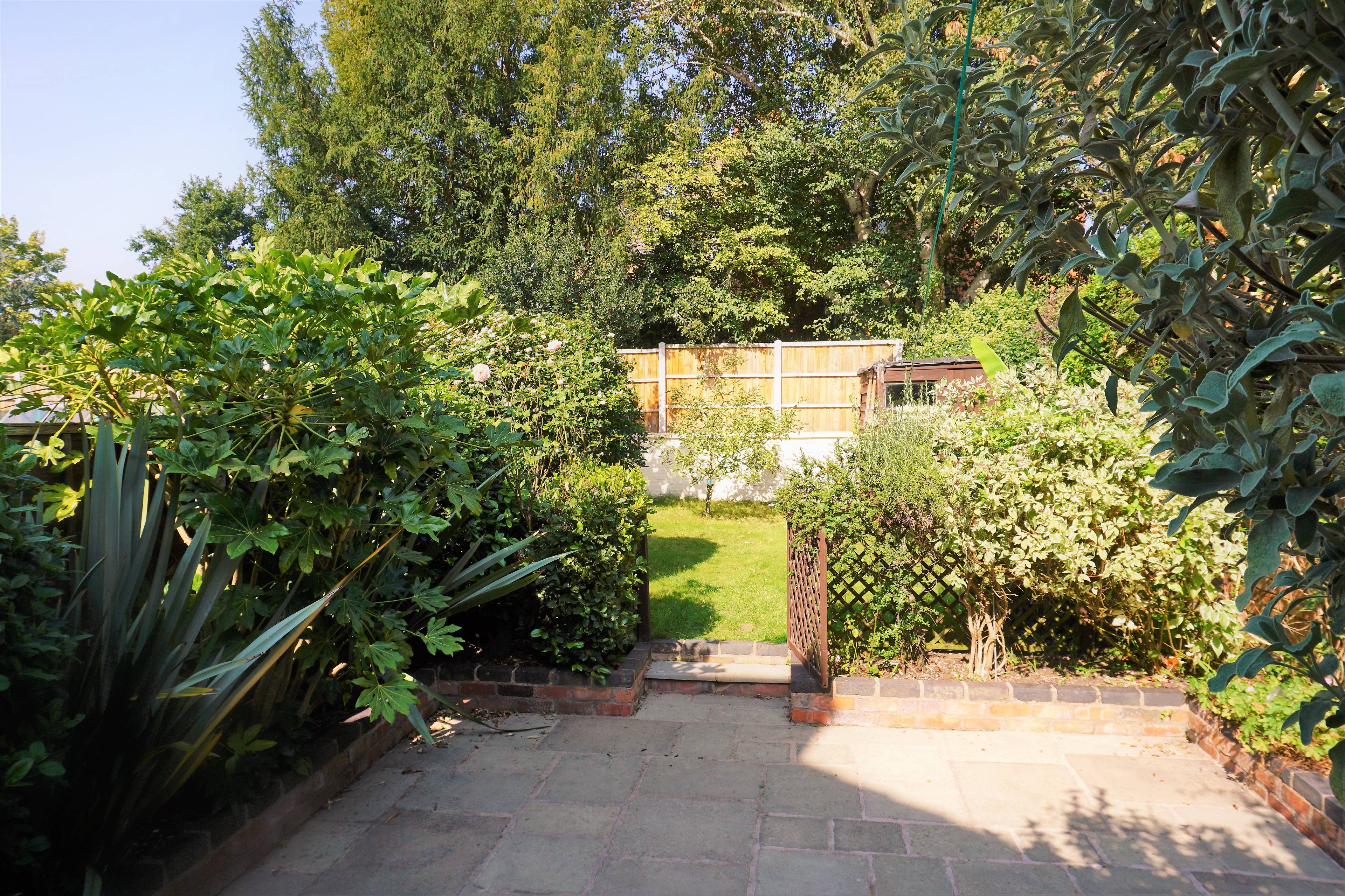 Garden
