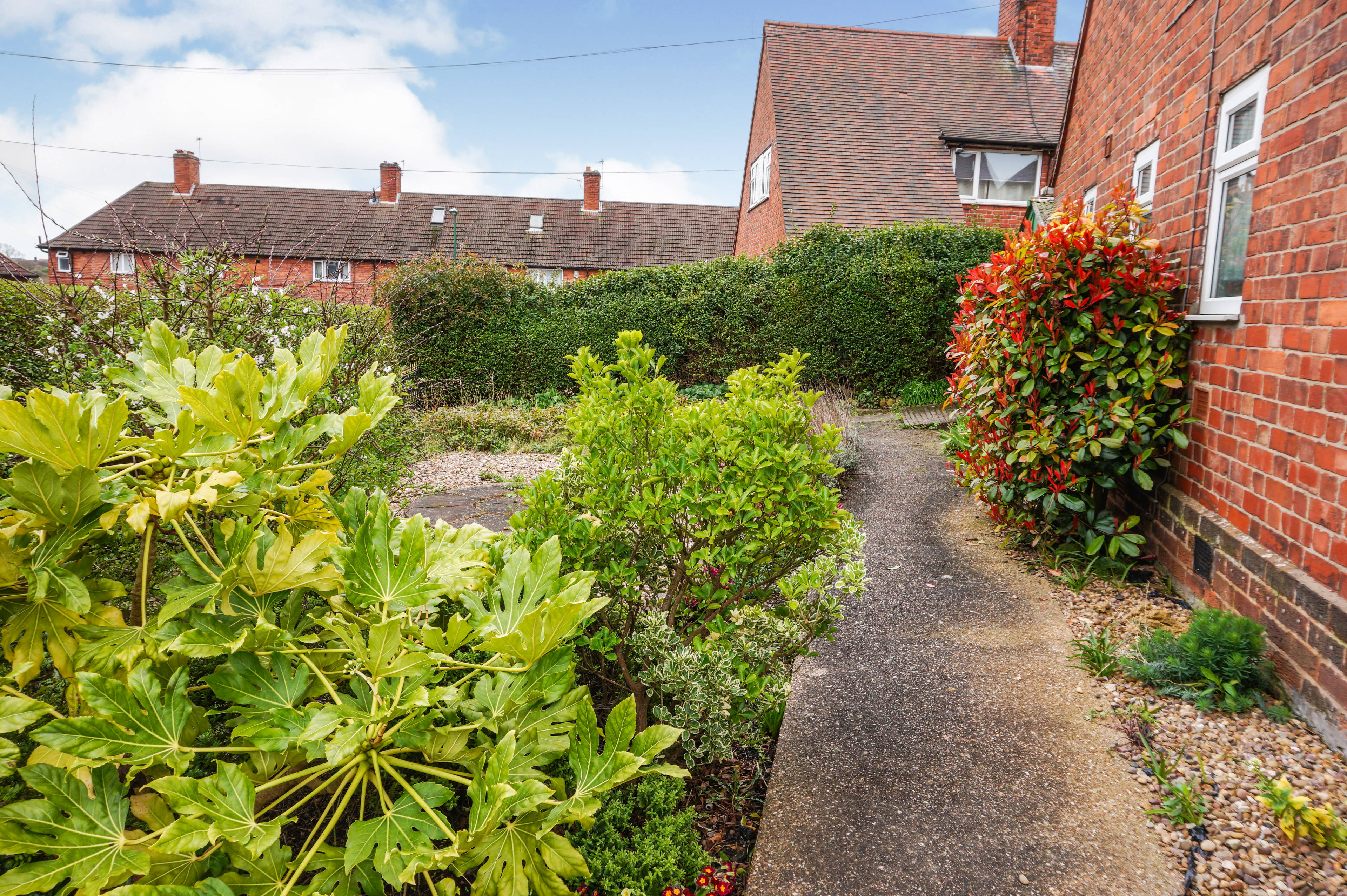 Side Garden