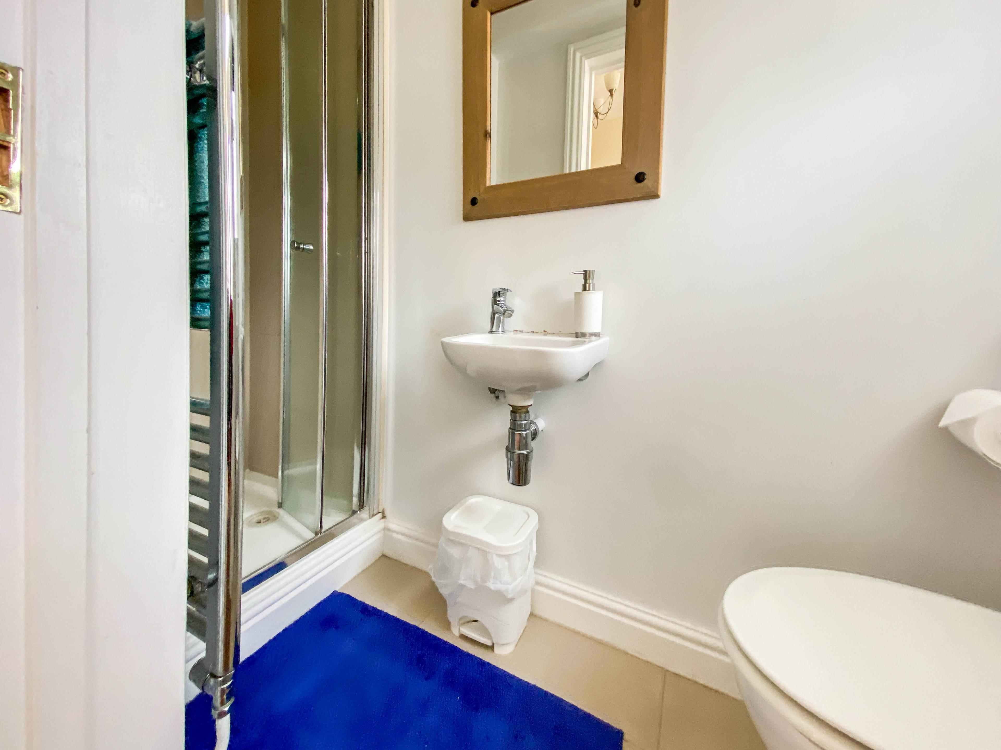 Downstairs Shower