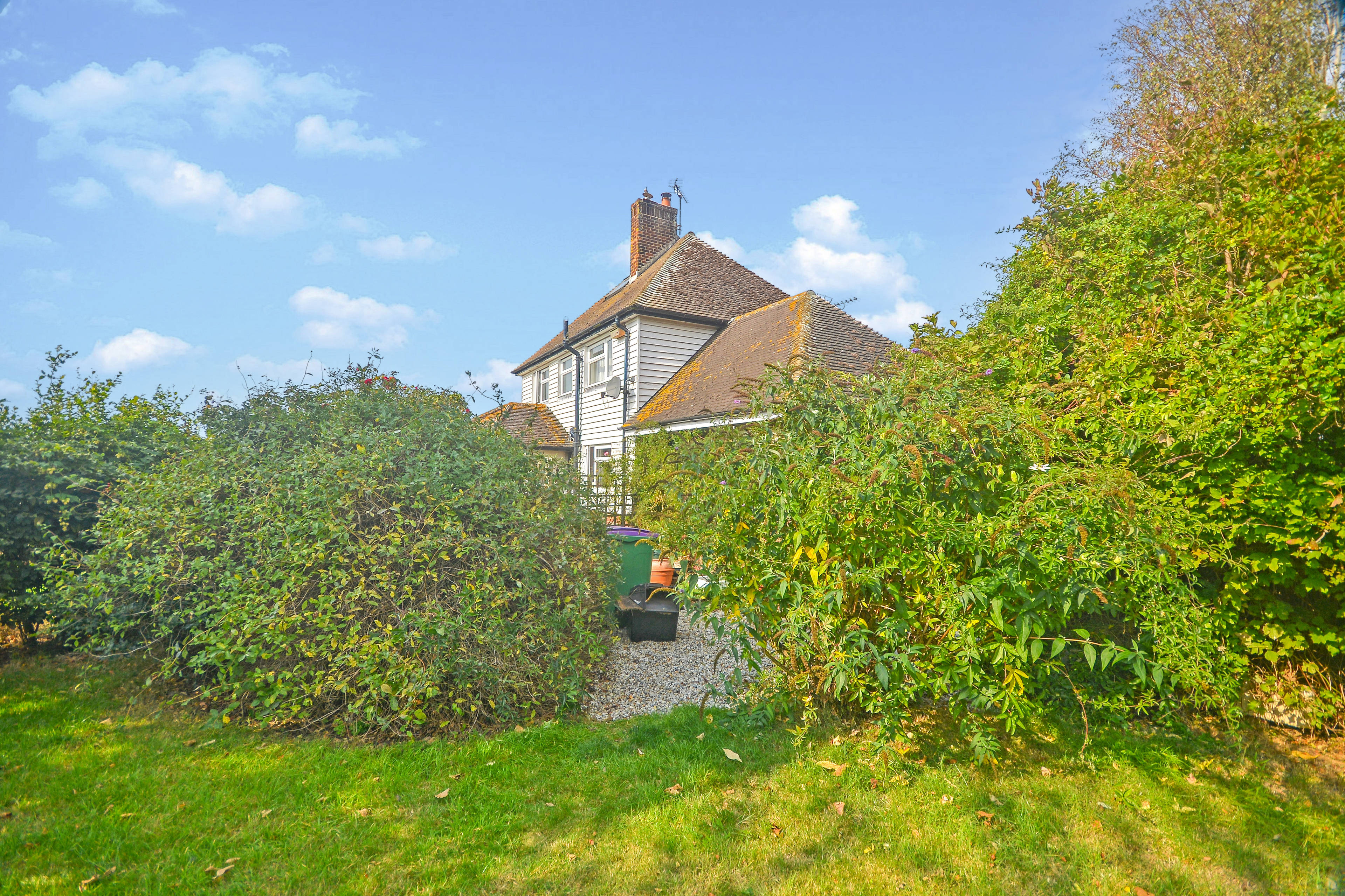 Side Garden