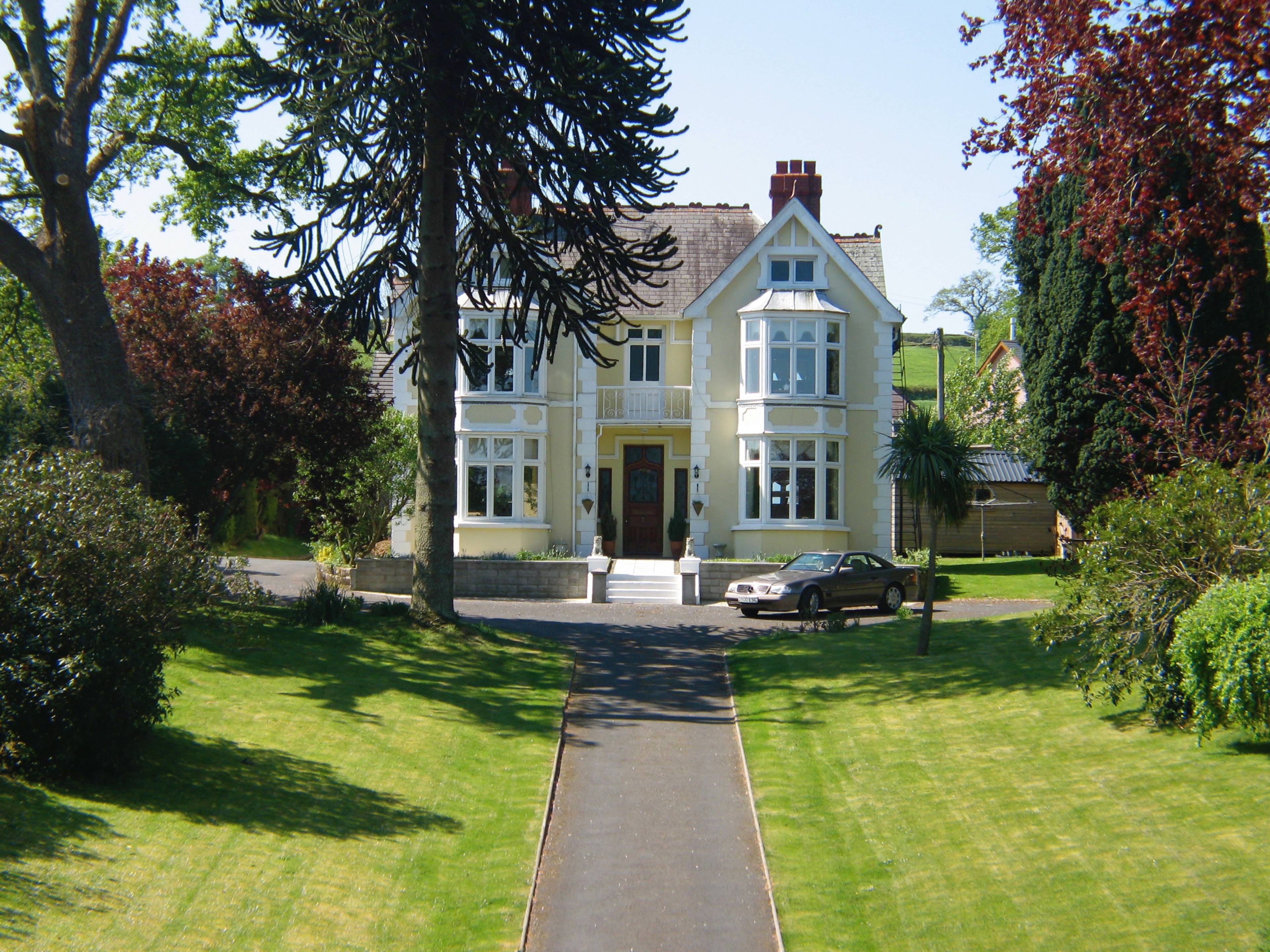 Front View