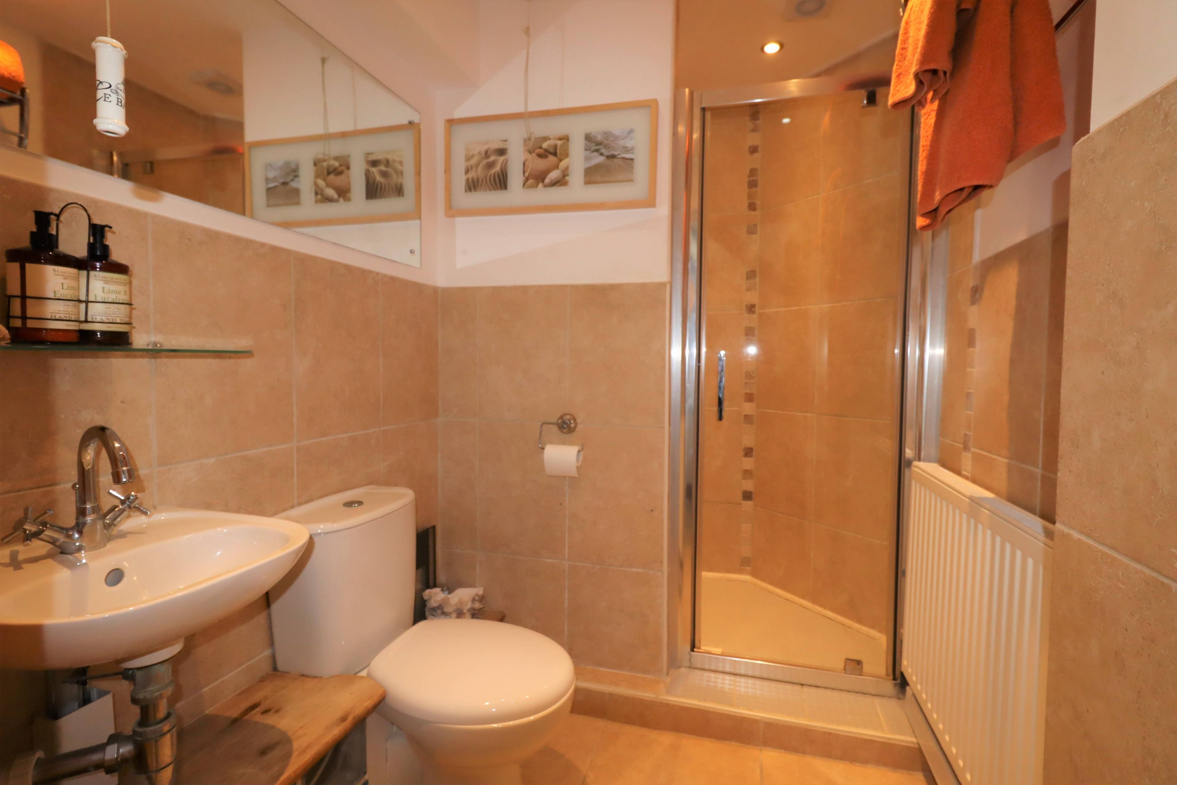 Downstairs Shower