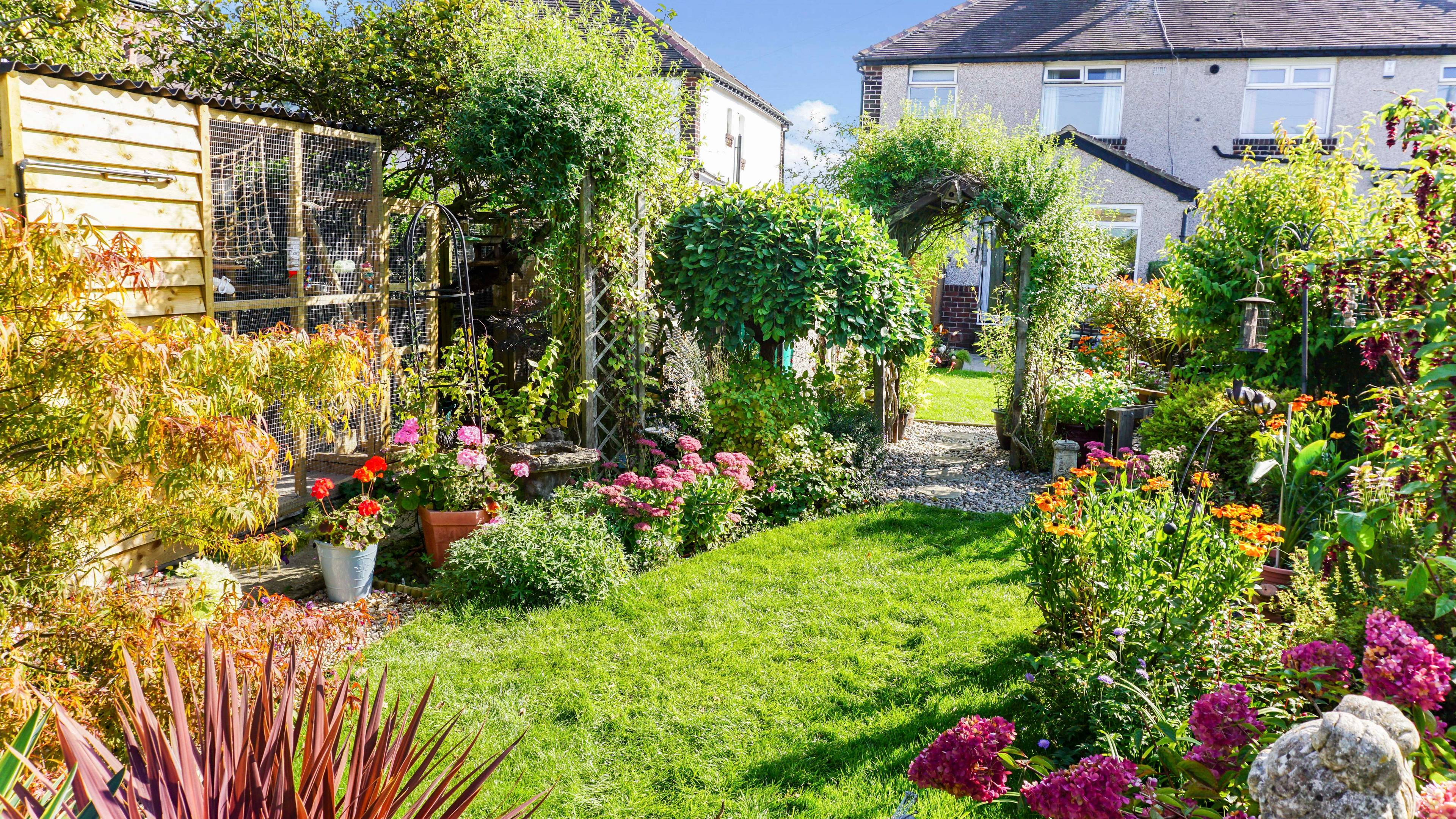 rear garden