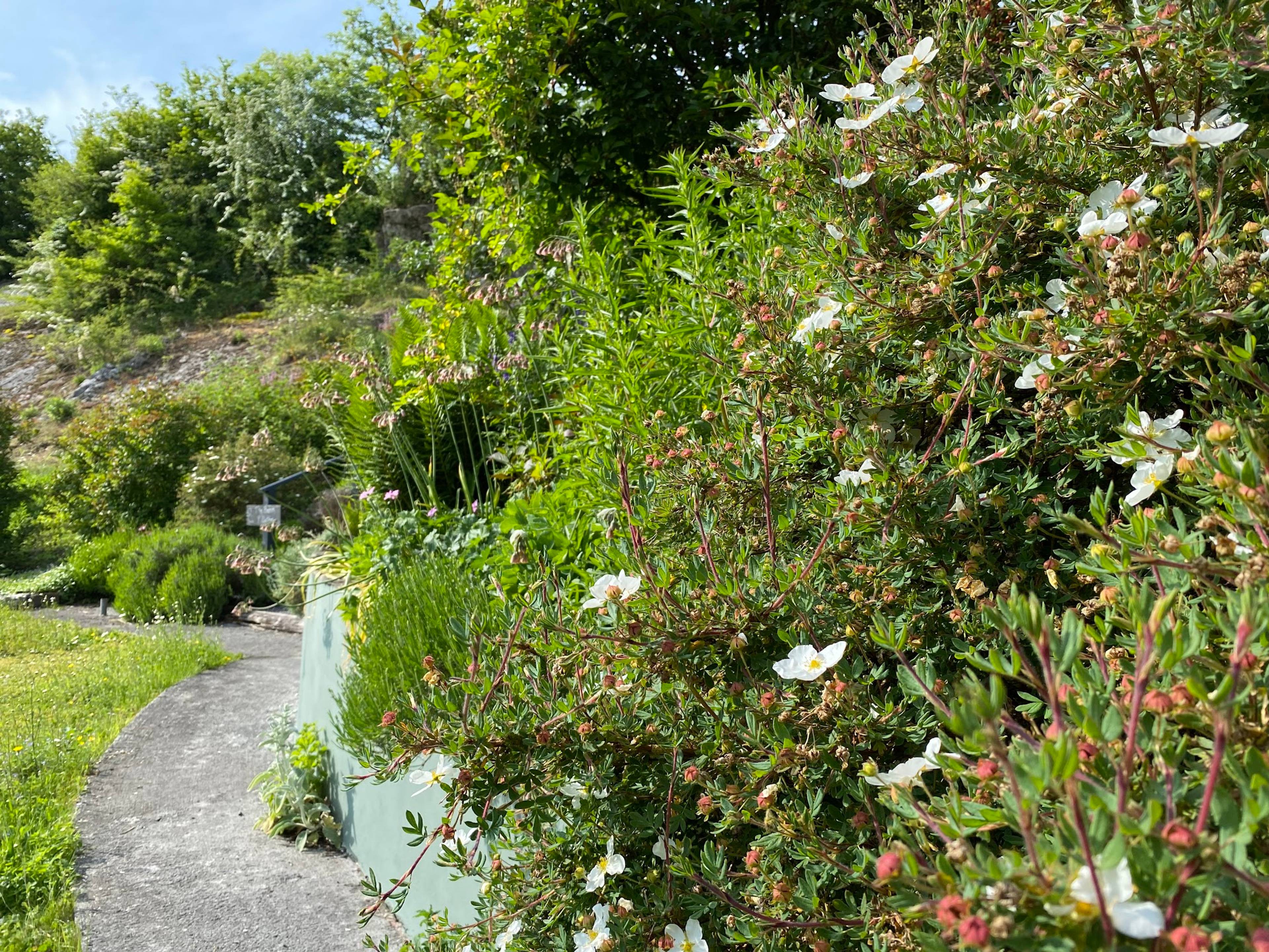Gardens