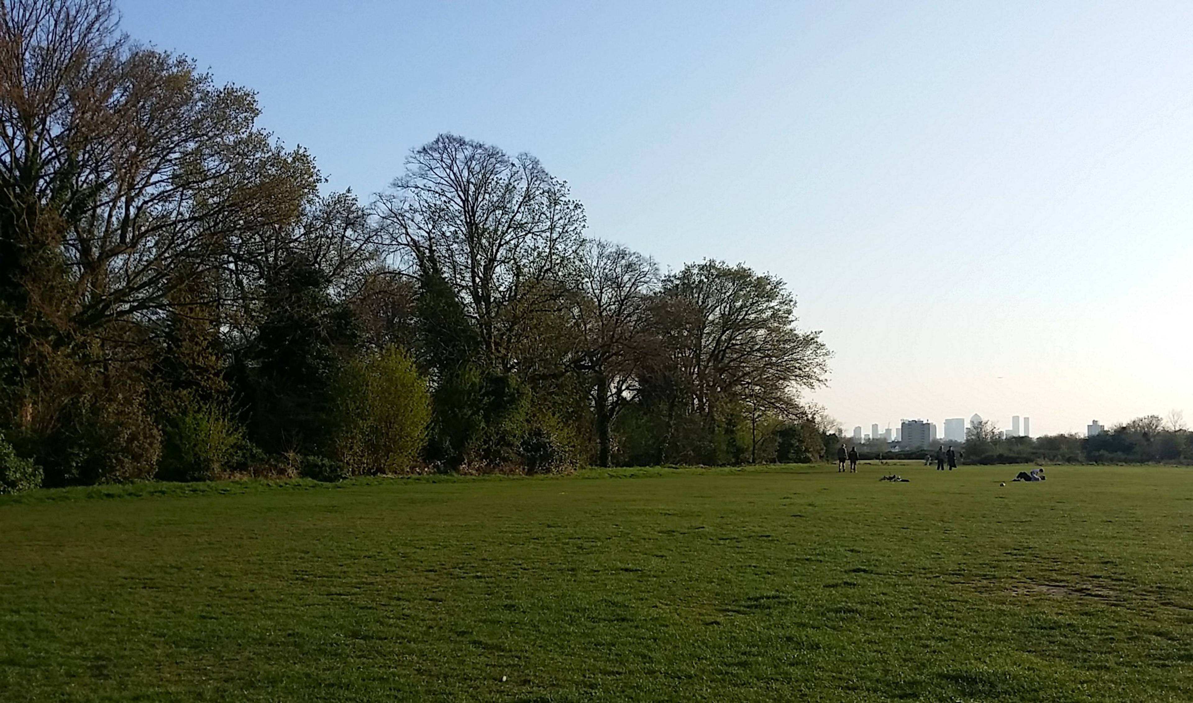 Local Area Four