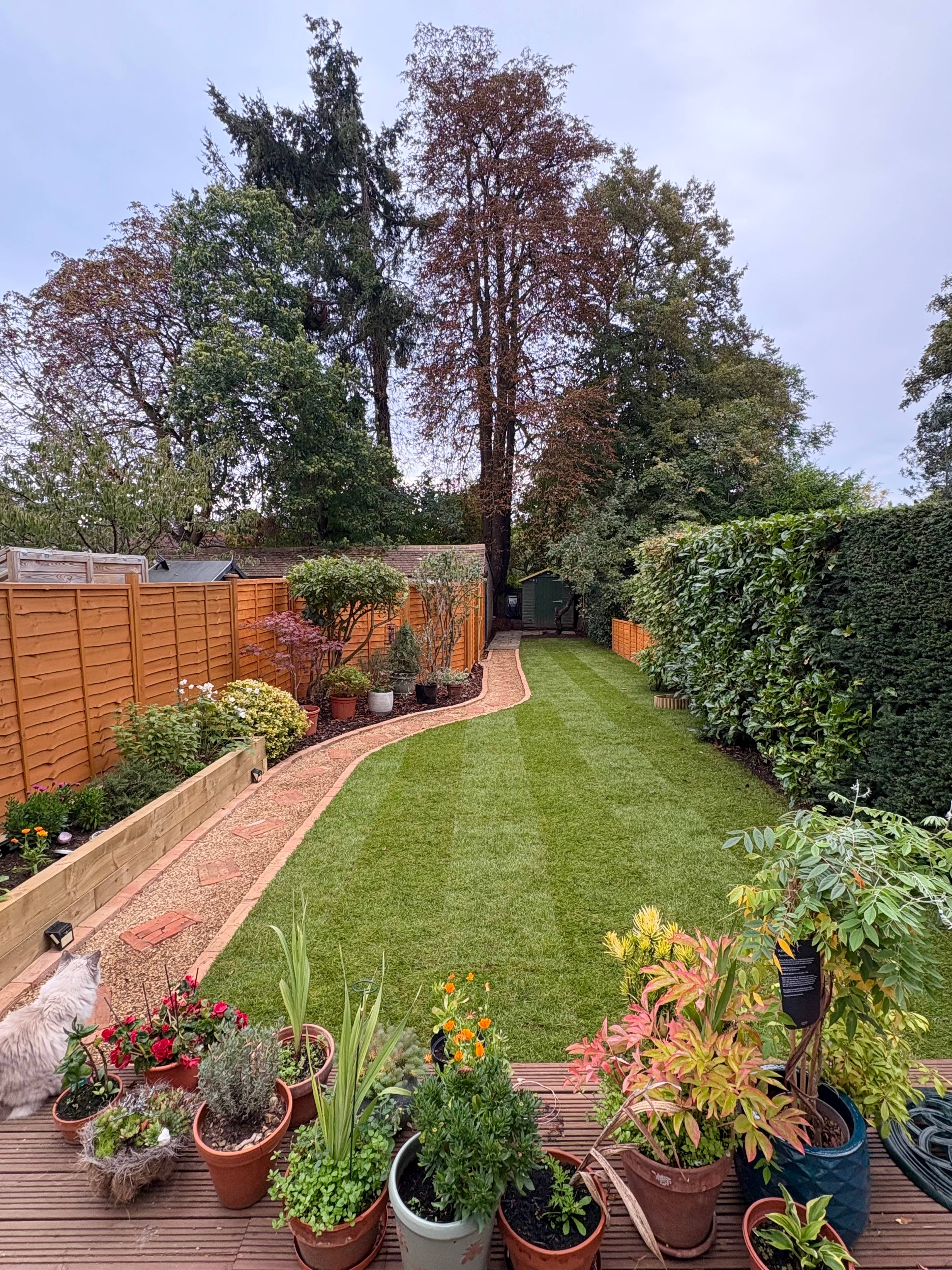 Garden