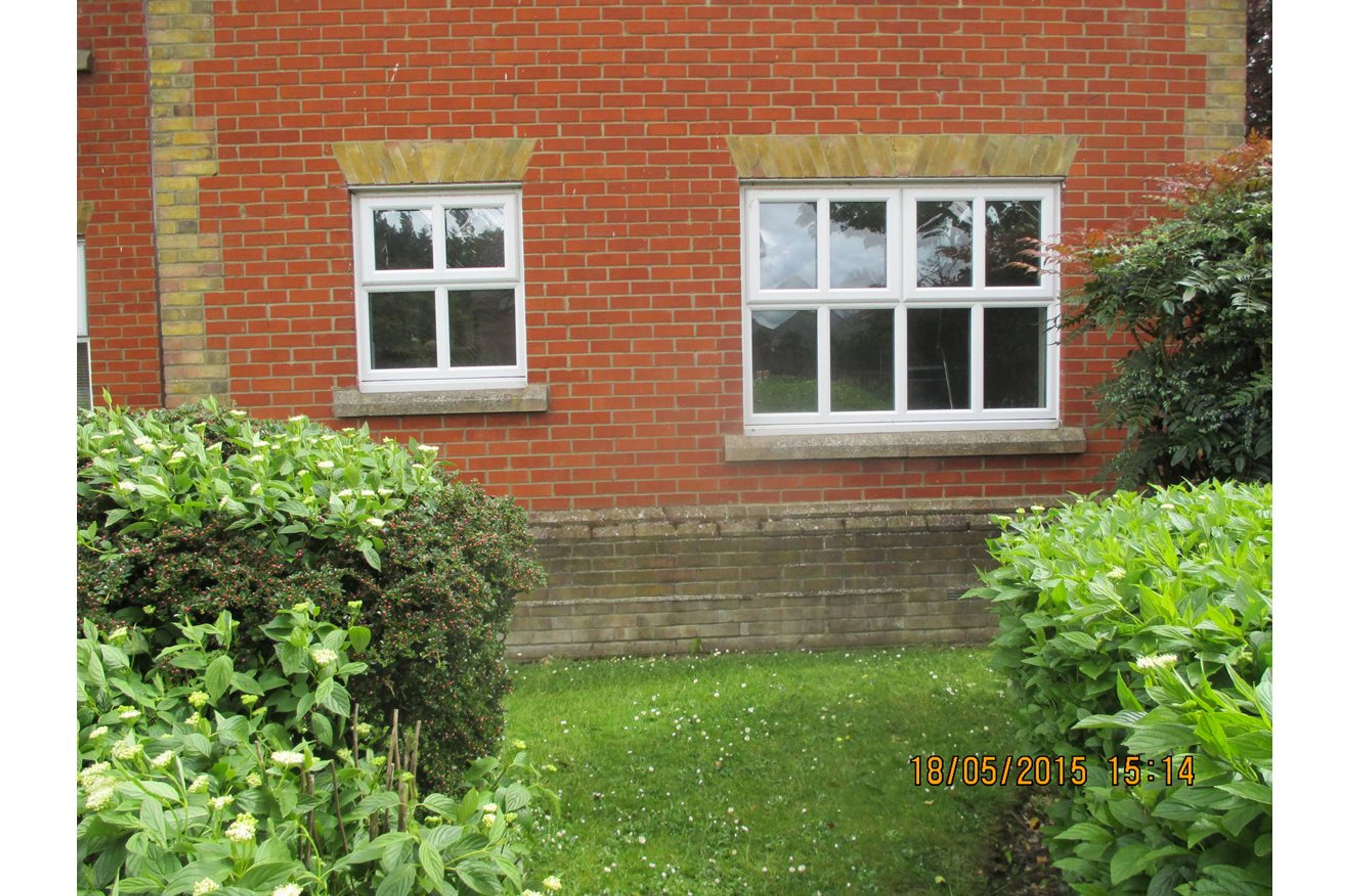 Rear View