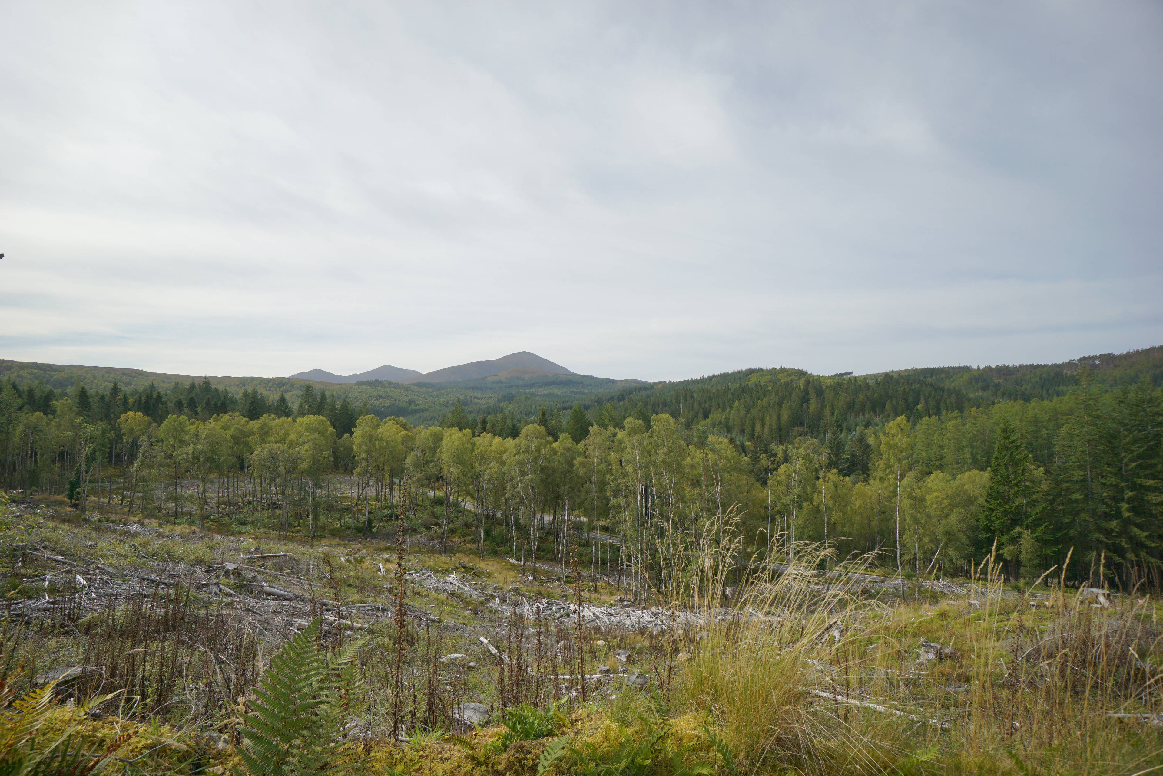 View