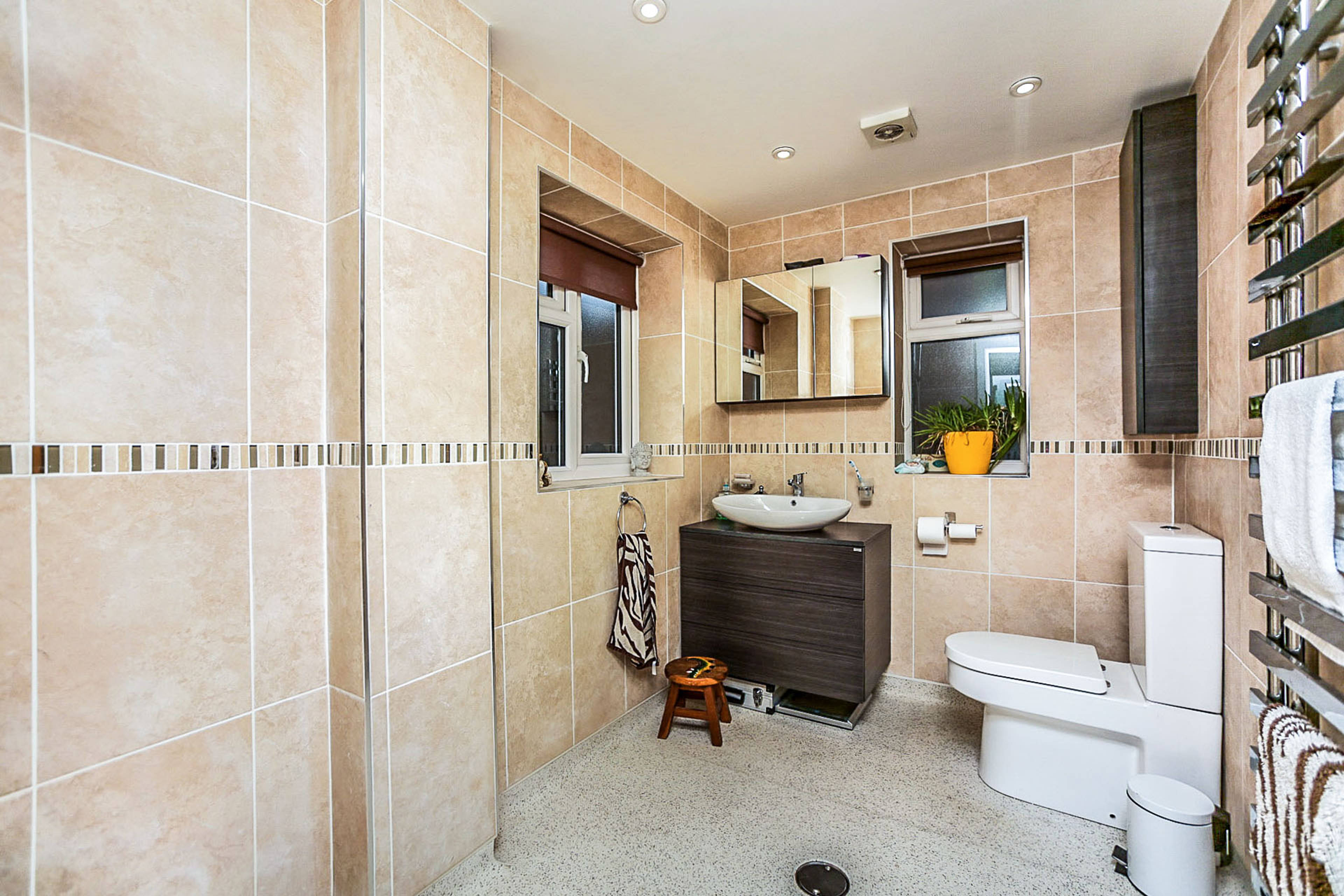 Downstairs Shower