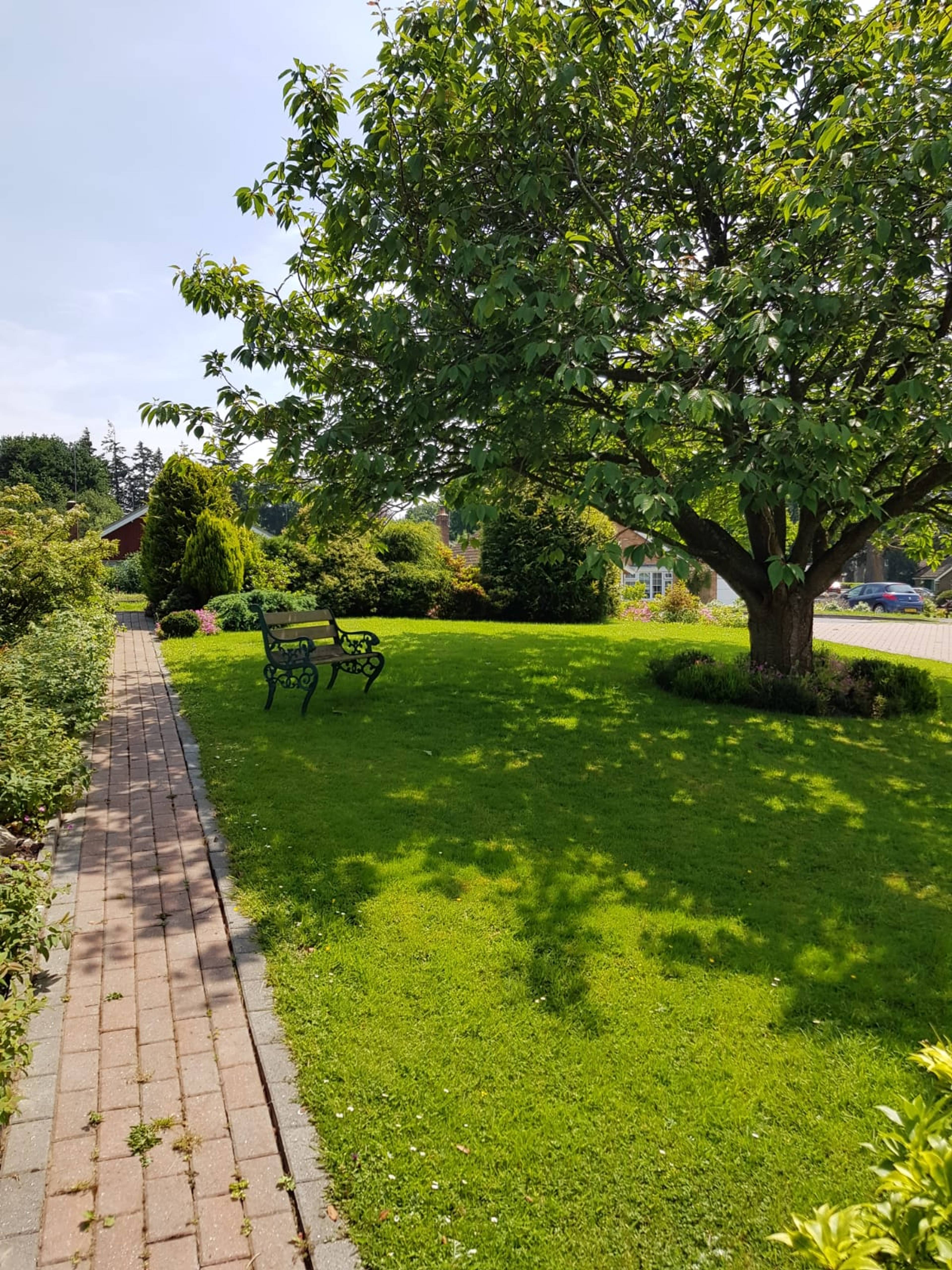Front Garden