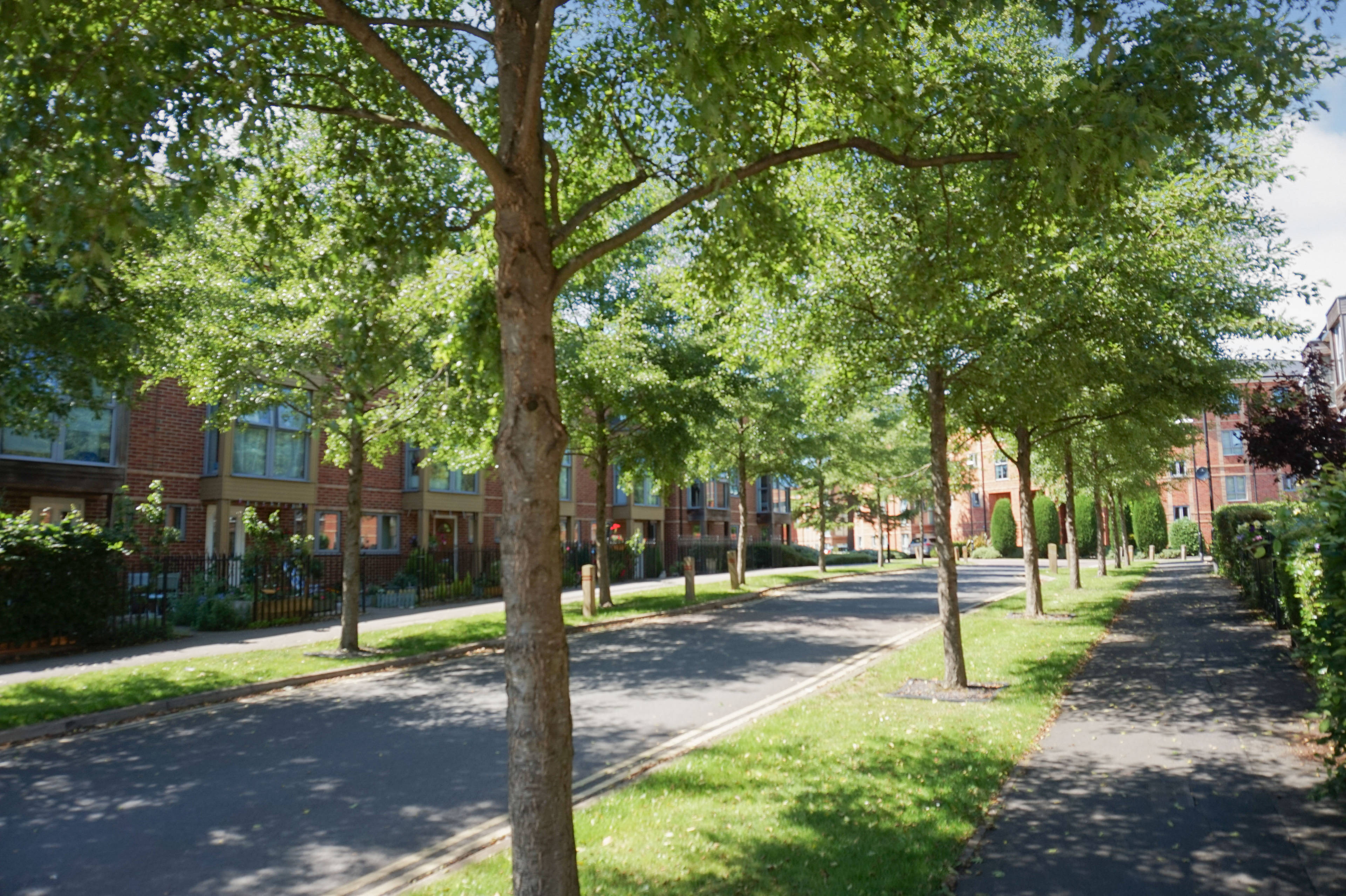 Surrounding Area