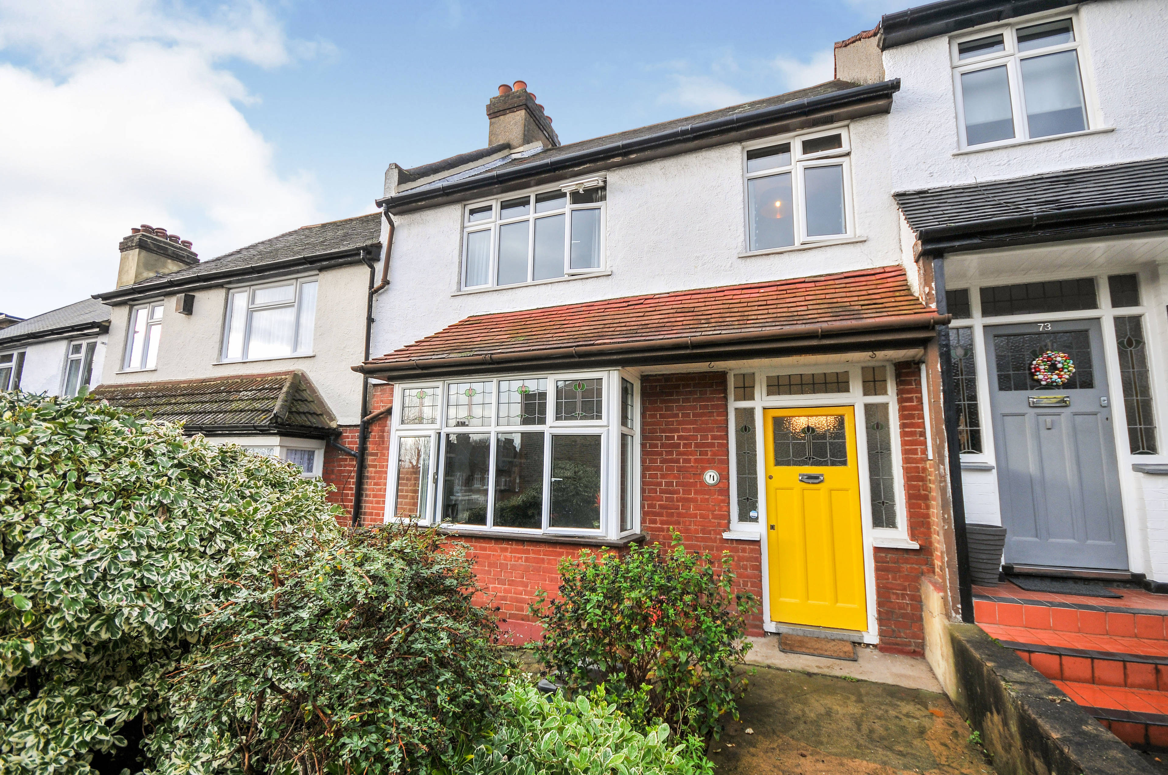 Front View