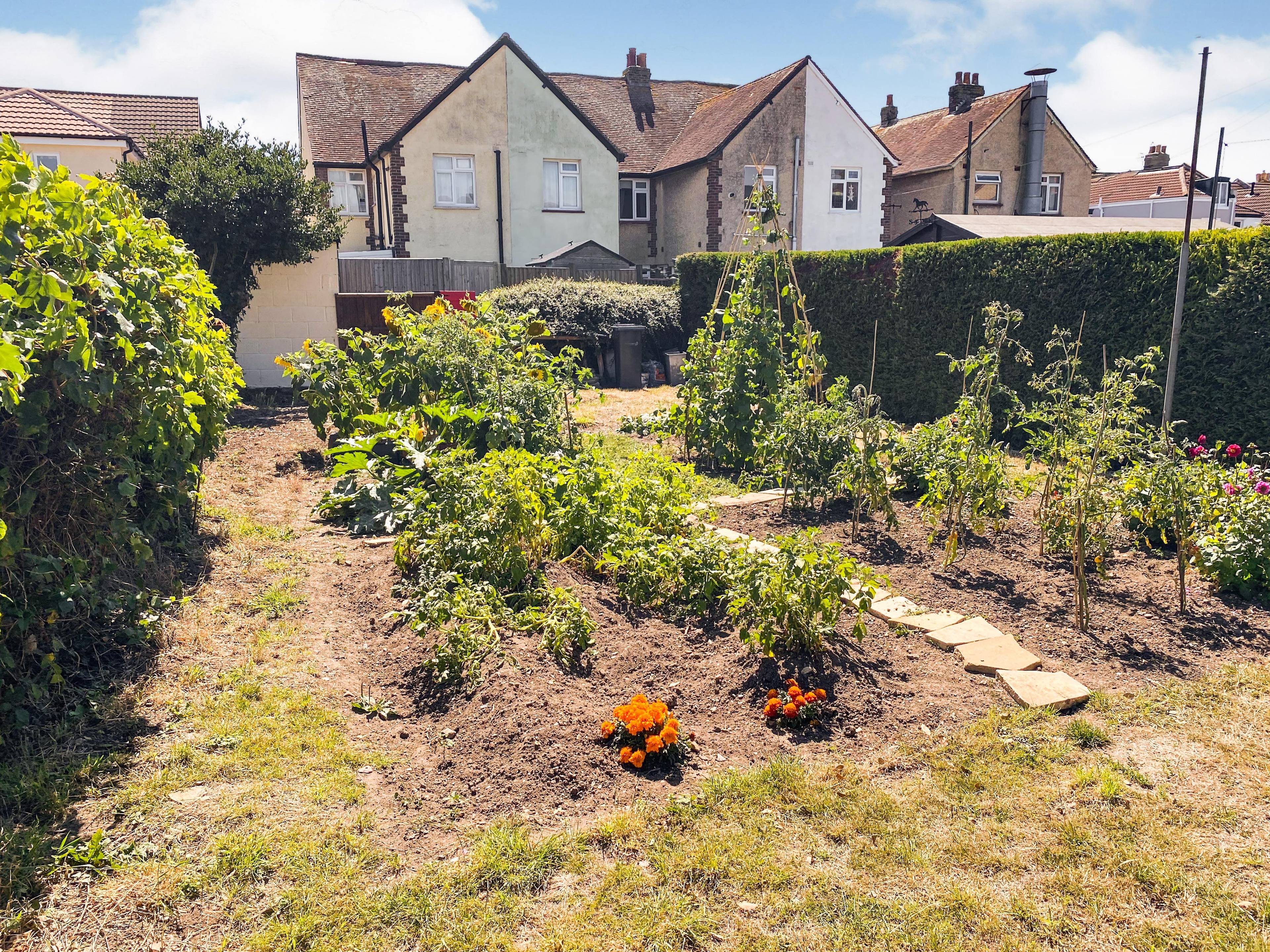 rear garden