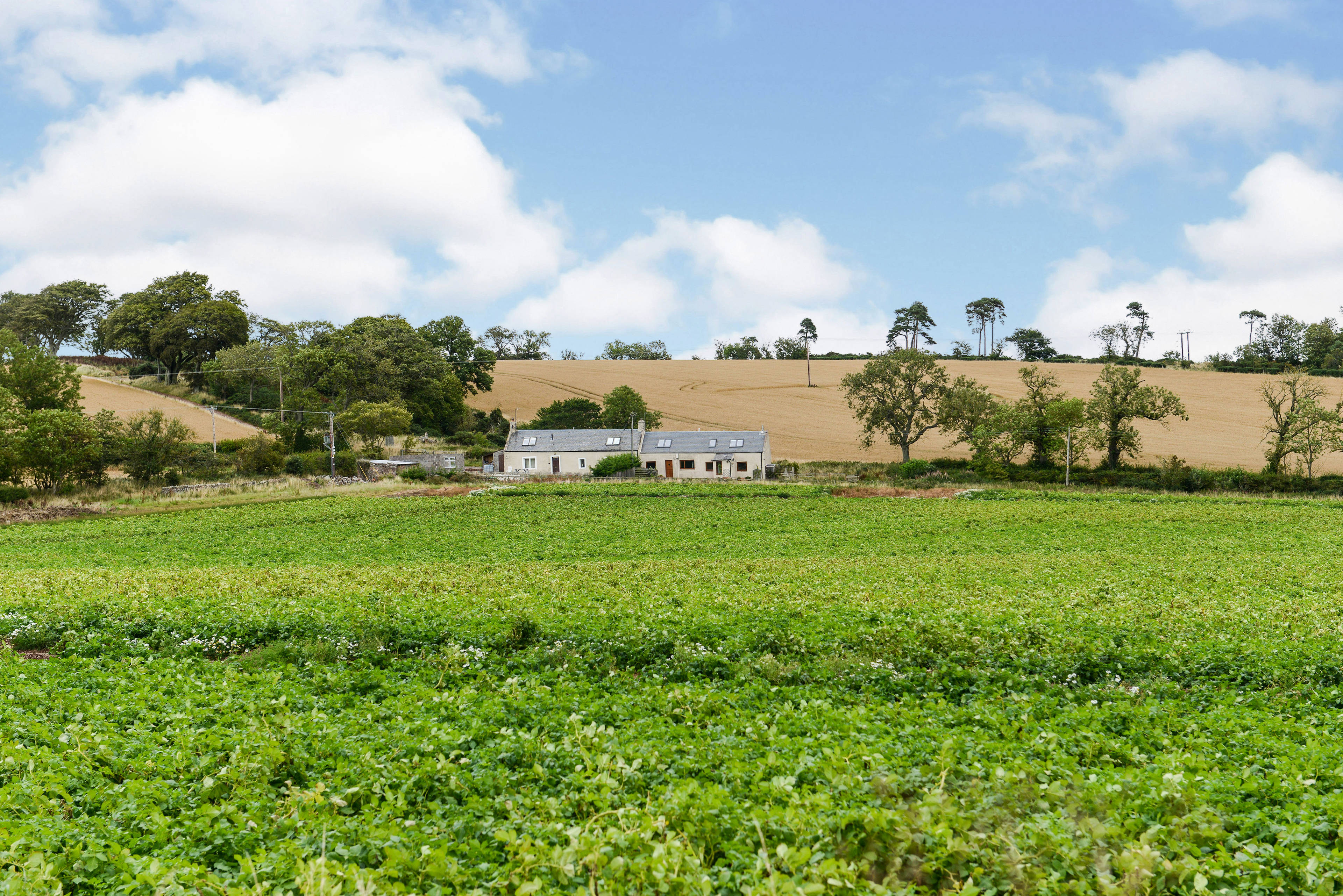 View Of The Property