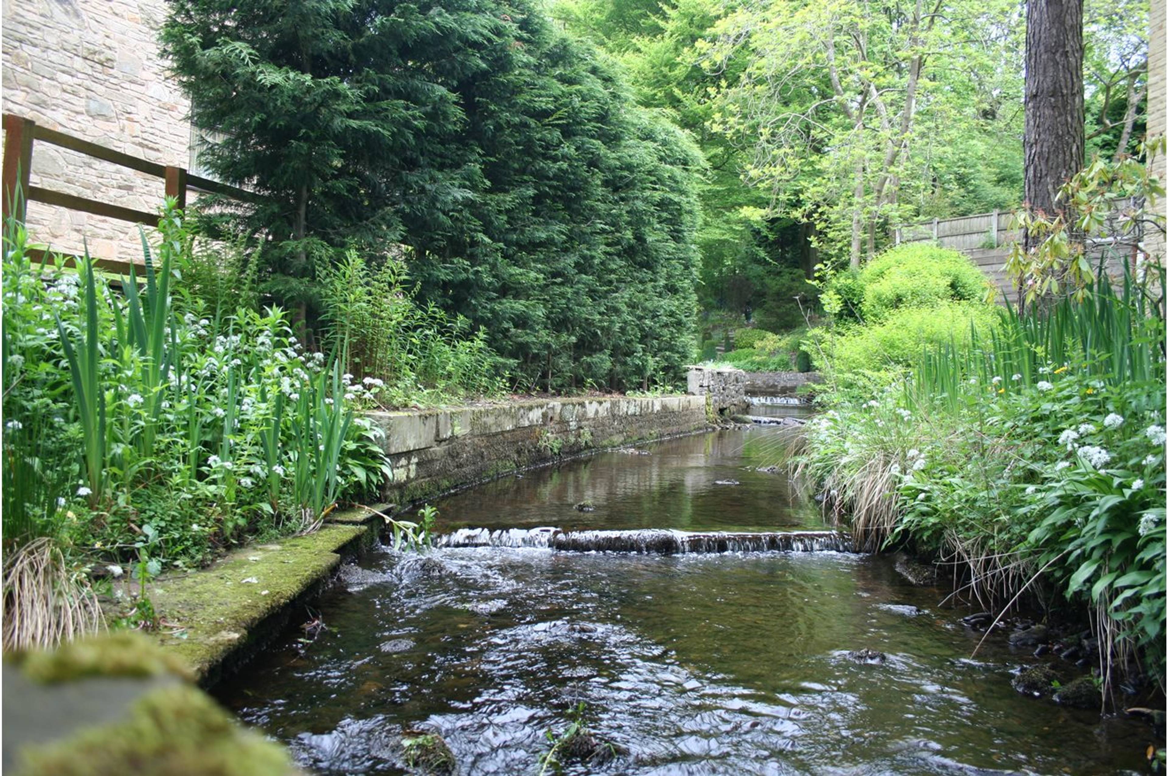 Communal Gardens