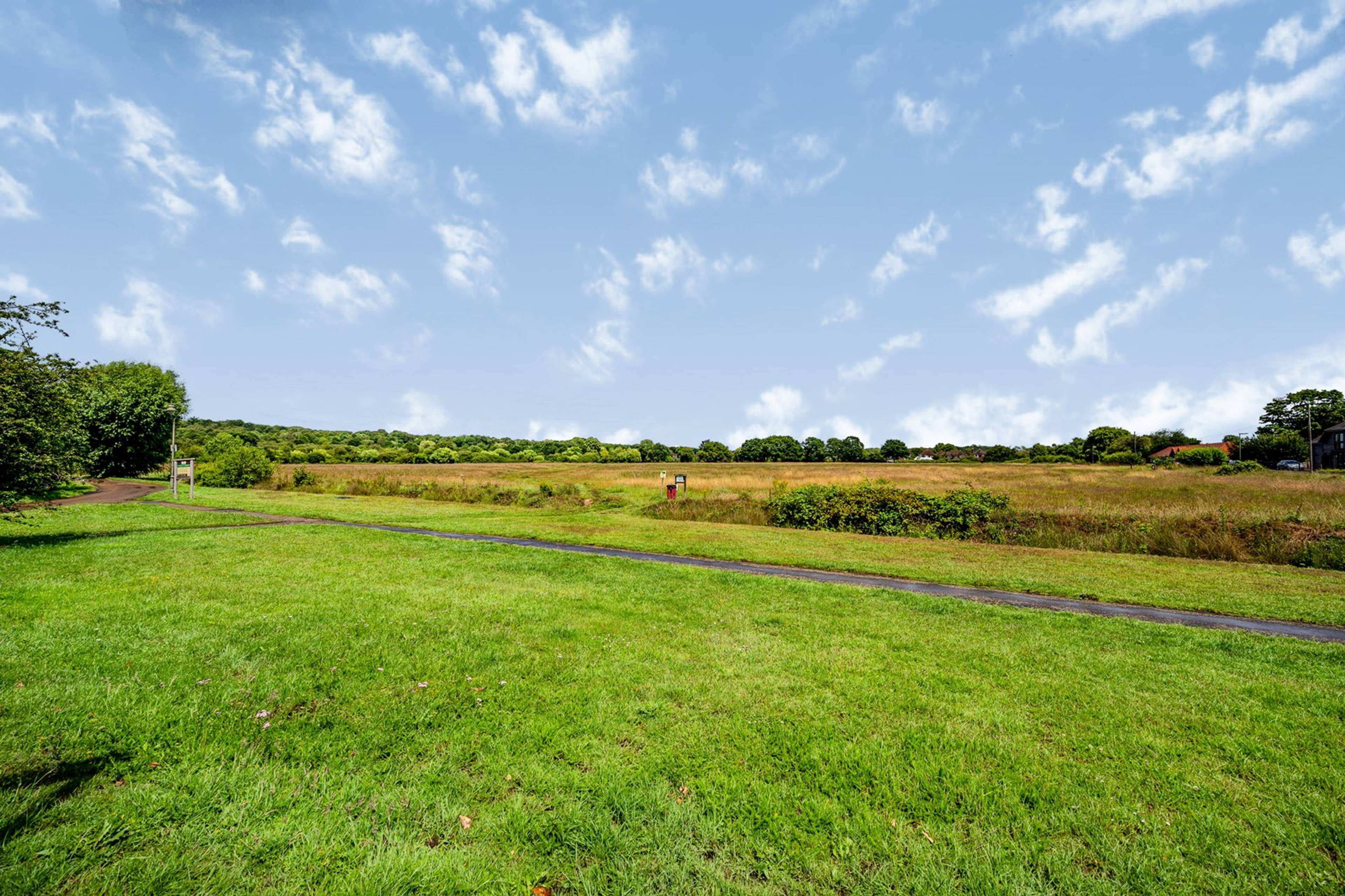 Surrounding Area
