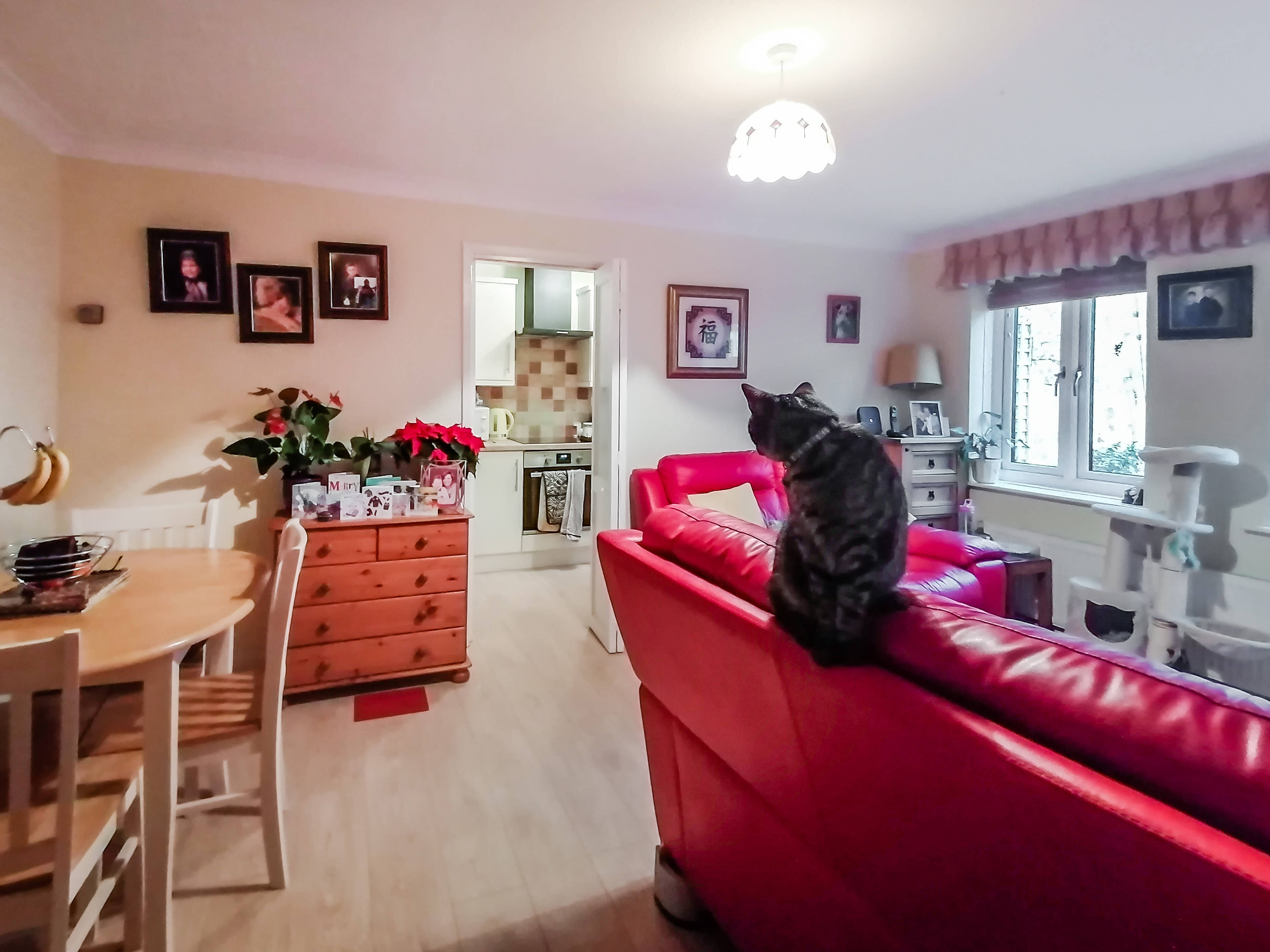 Lounge/Dining Room
