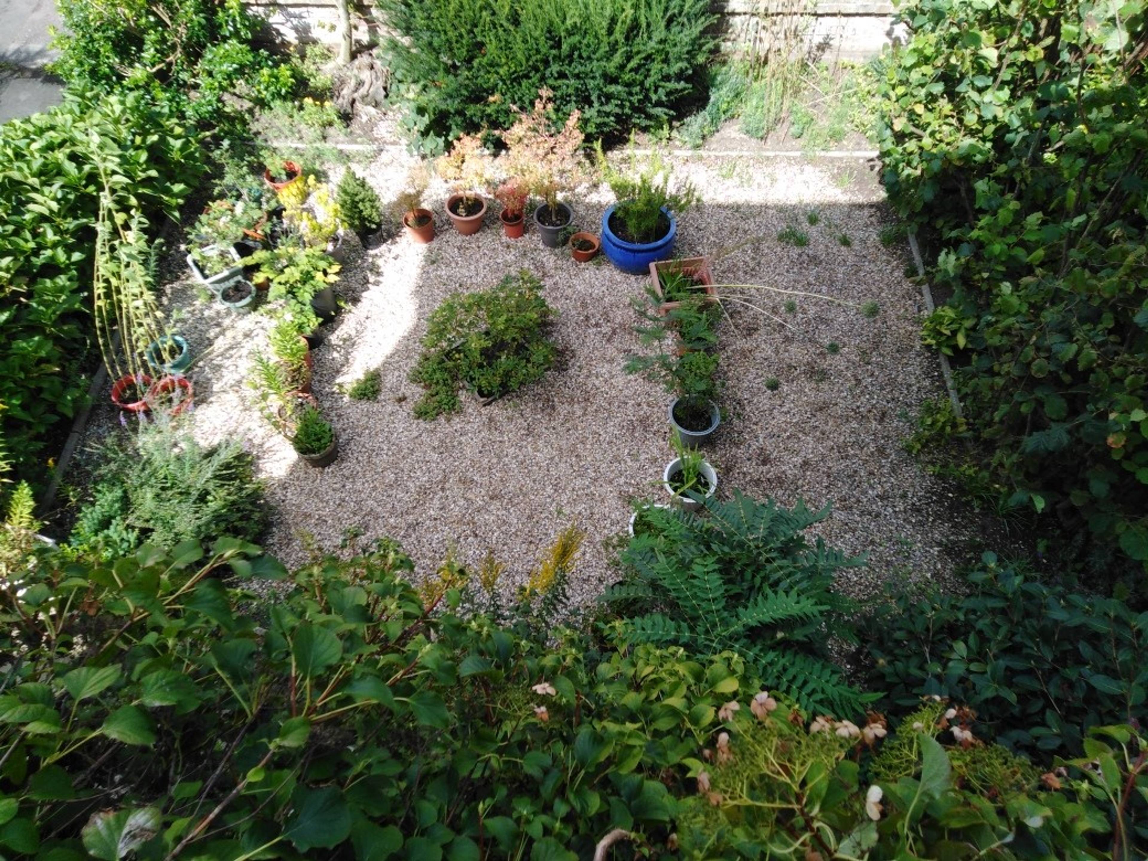 Front garden 