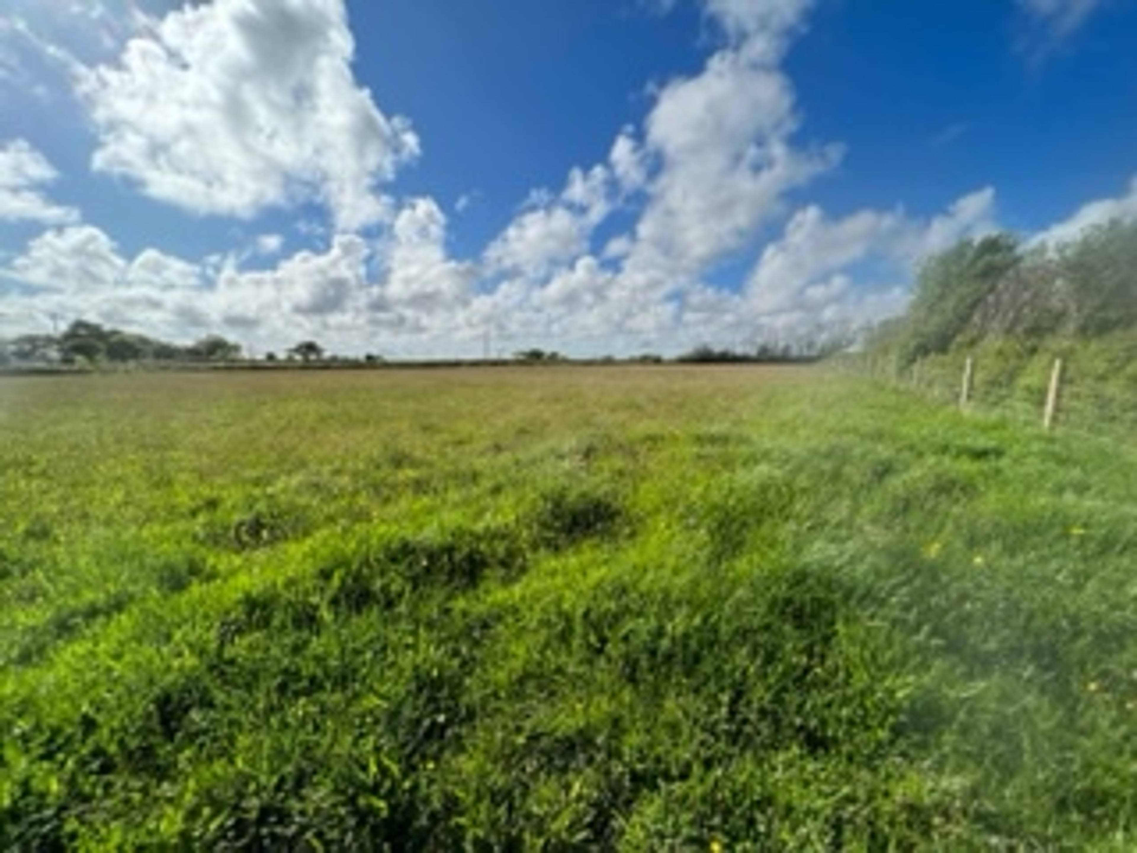 Land