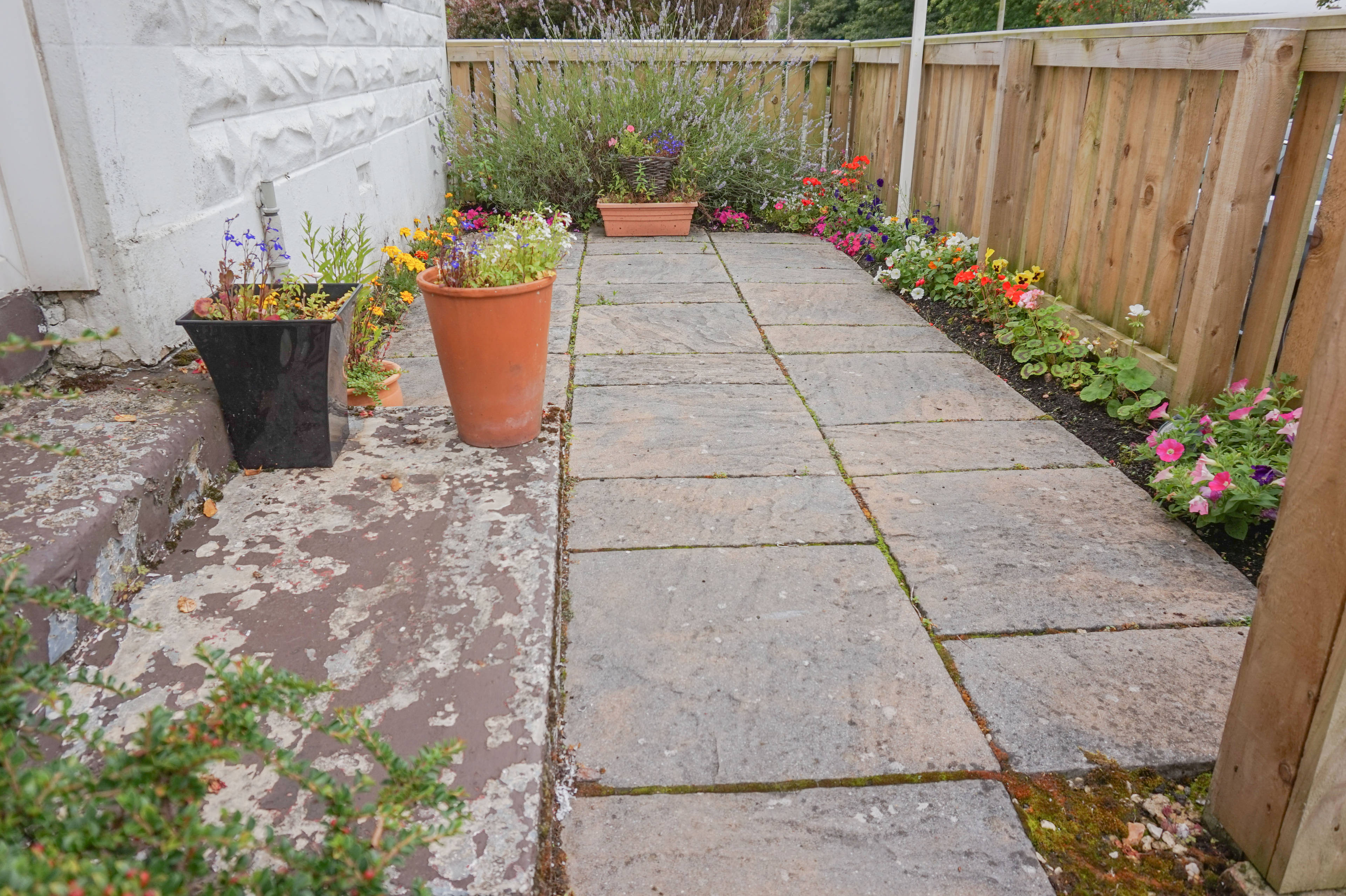 Front Garden